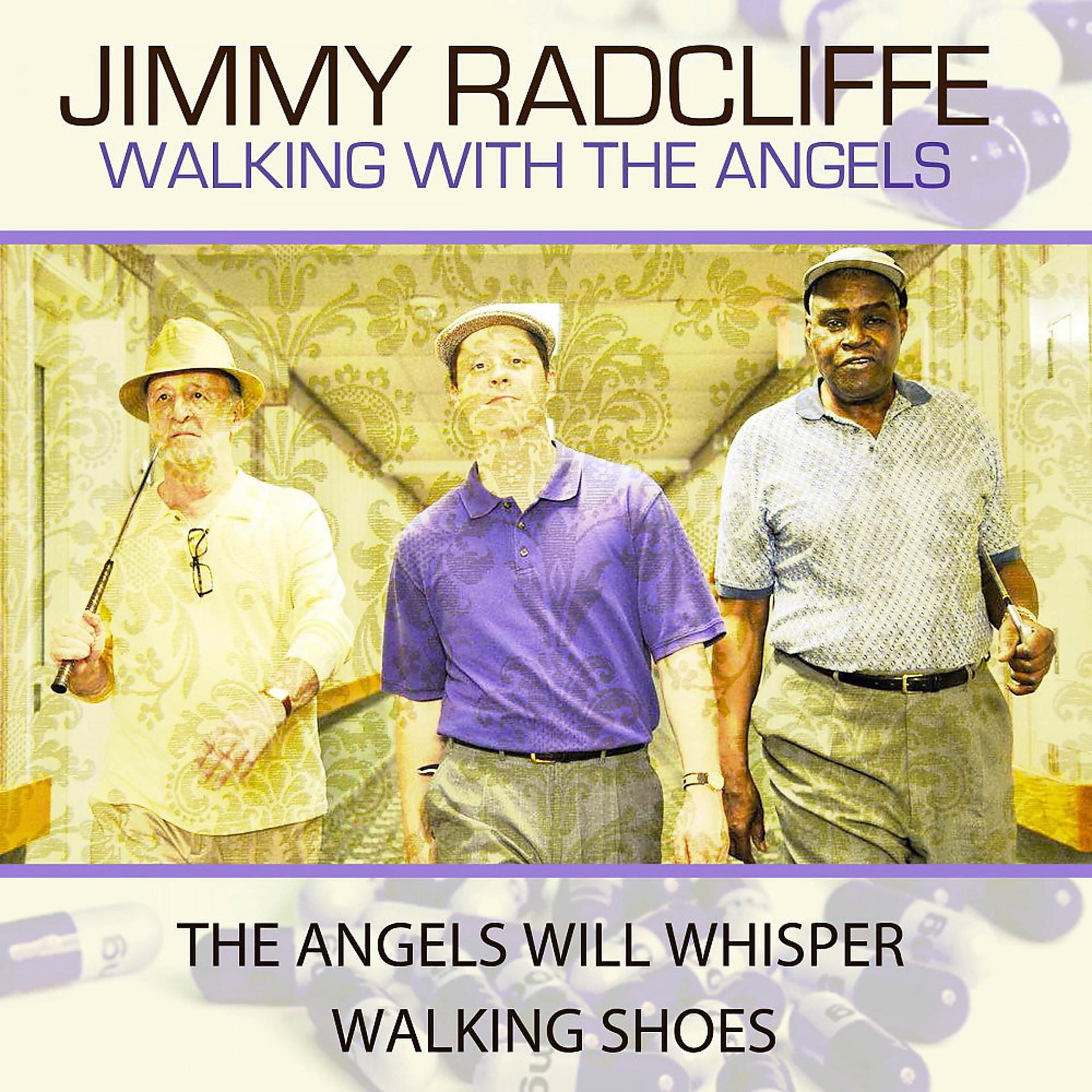 Постер альбома Walkin with the Angels