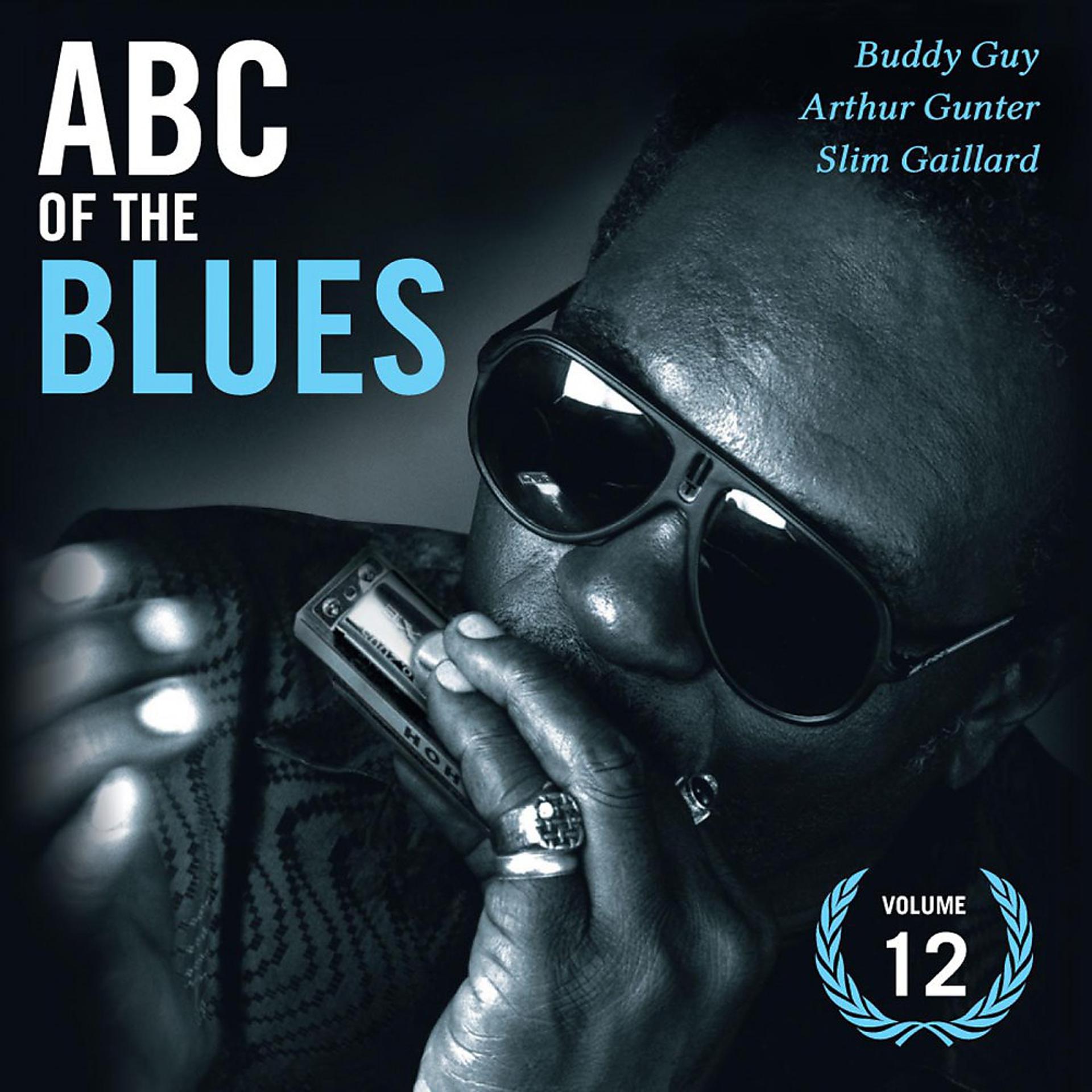 Постер альбома Abc of the Blues Vol. 12