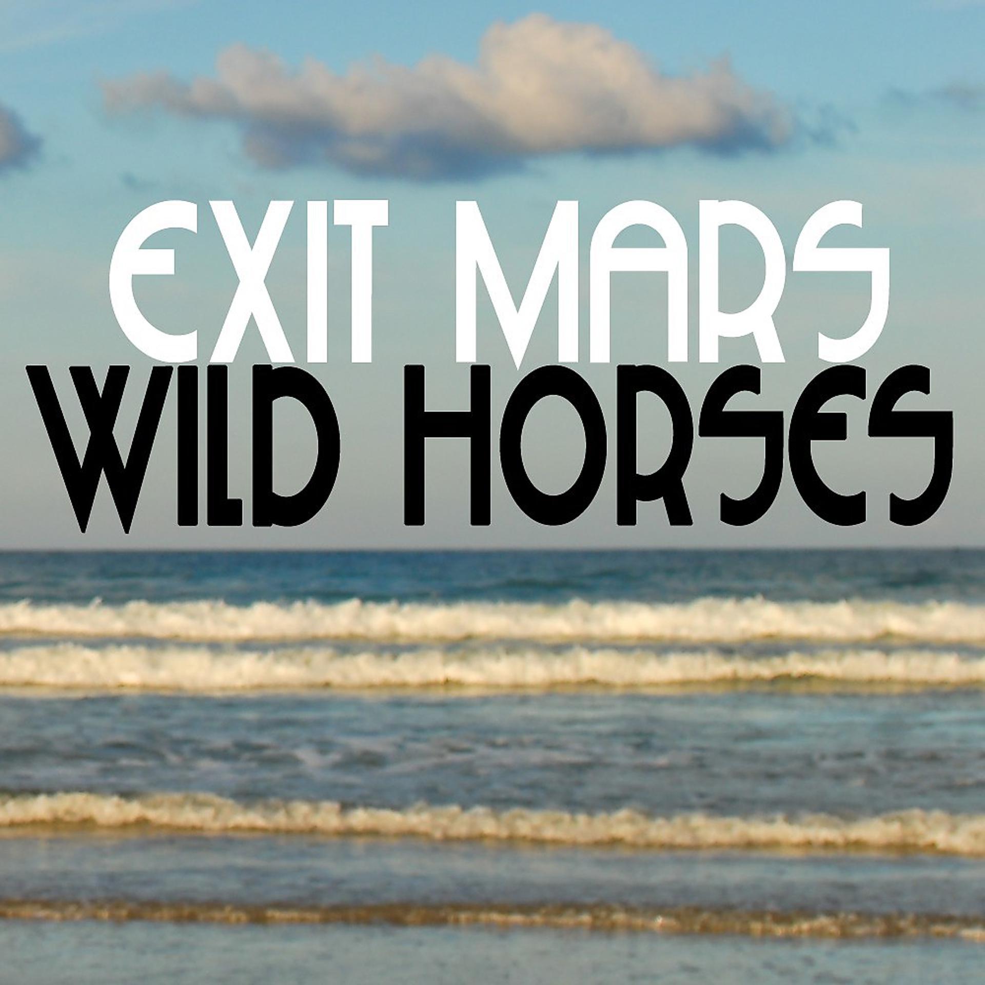Постер альбома Wild Horses