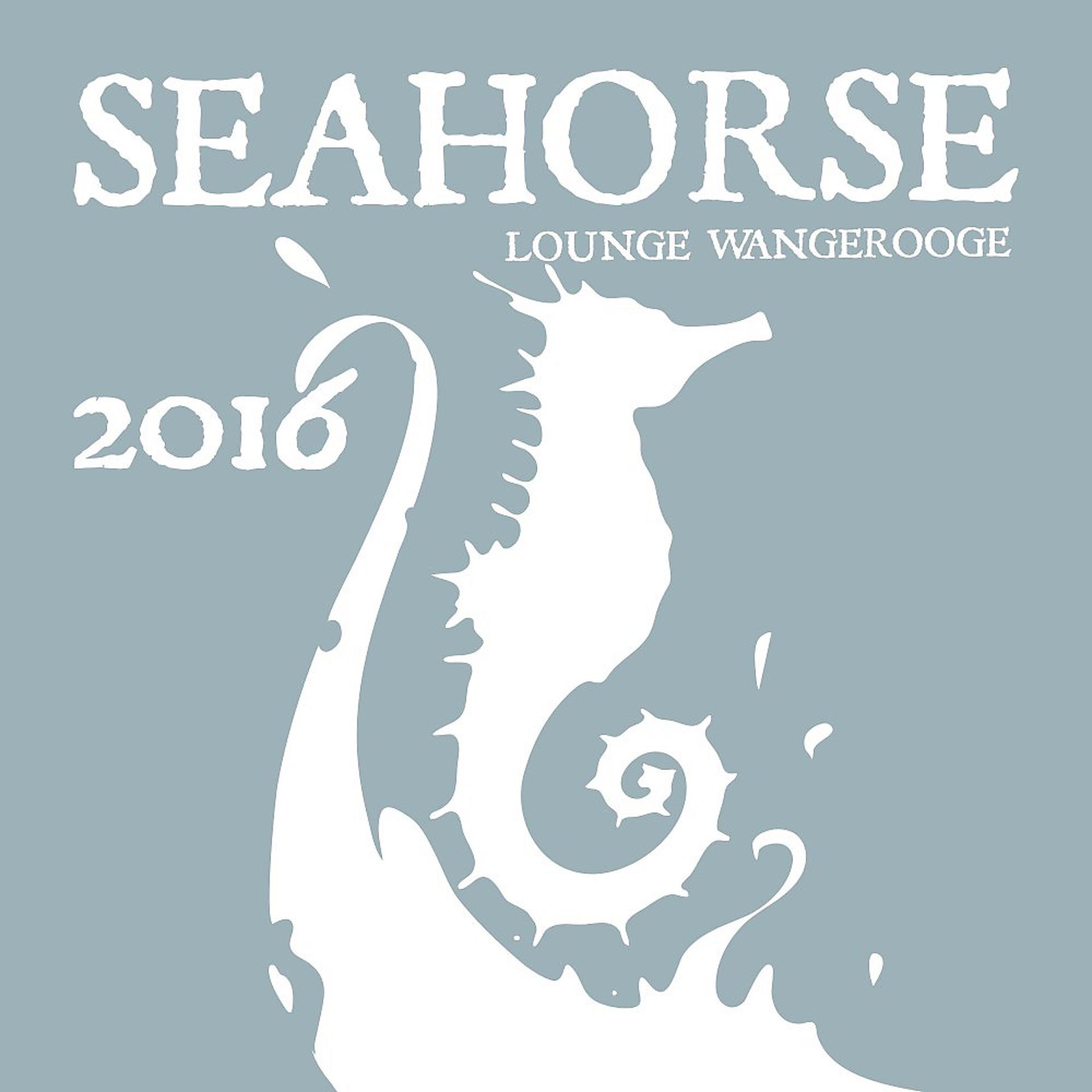 Постер альбома Seahorse Lounge Wangerooge 2016
