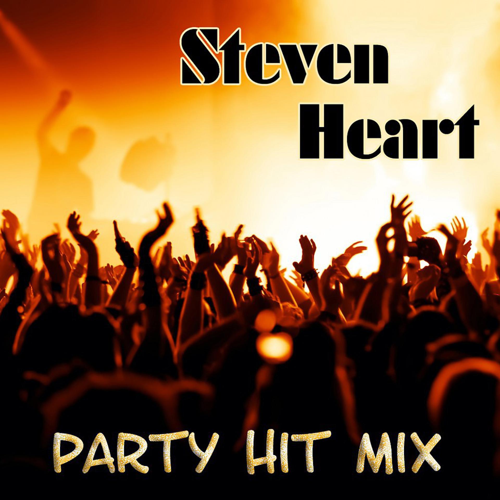 Постер альбома Party Hit Mix