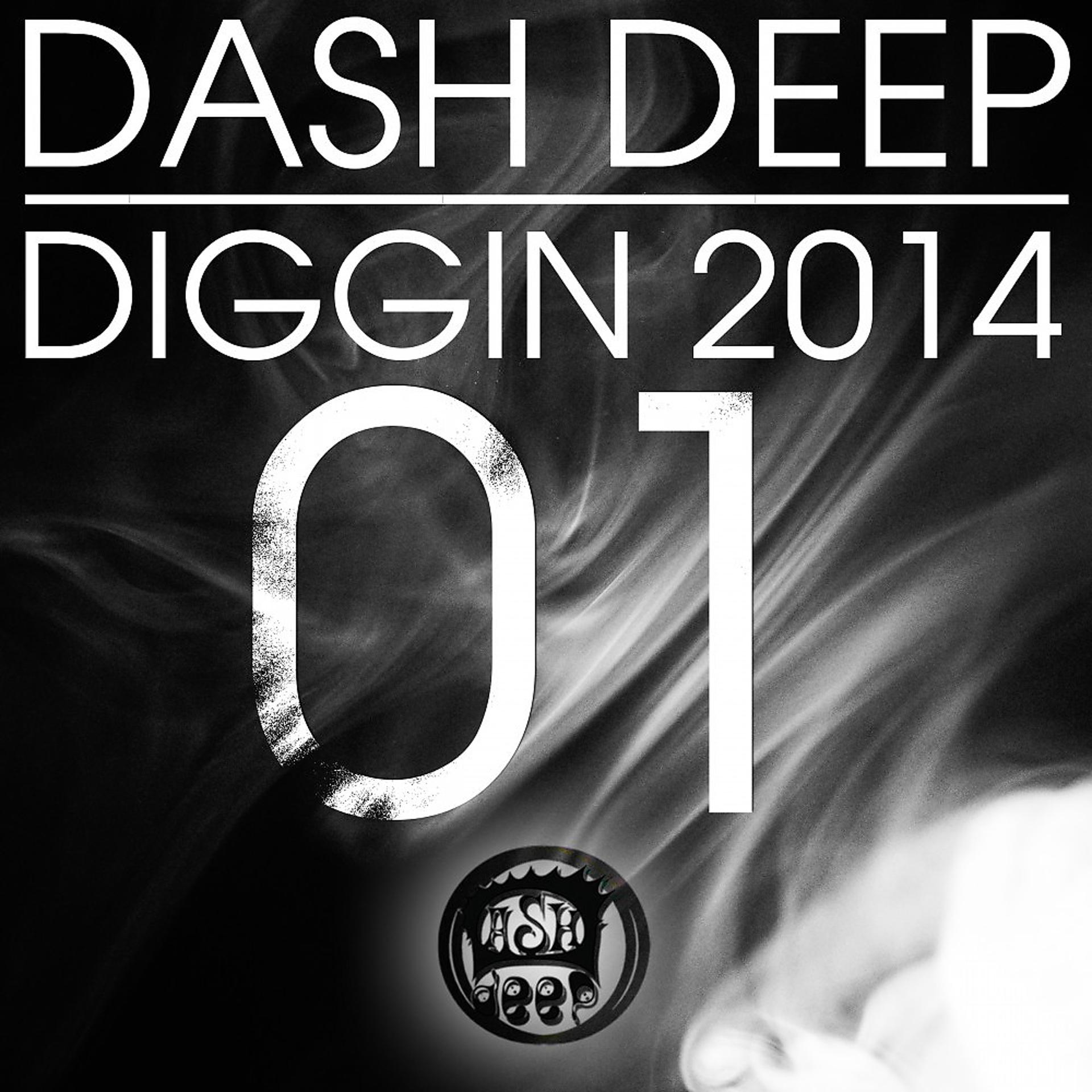Постер альбома Dash Deep Diggin 2014, Vol. 01