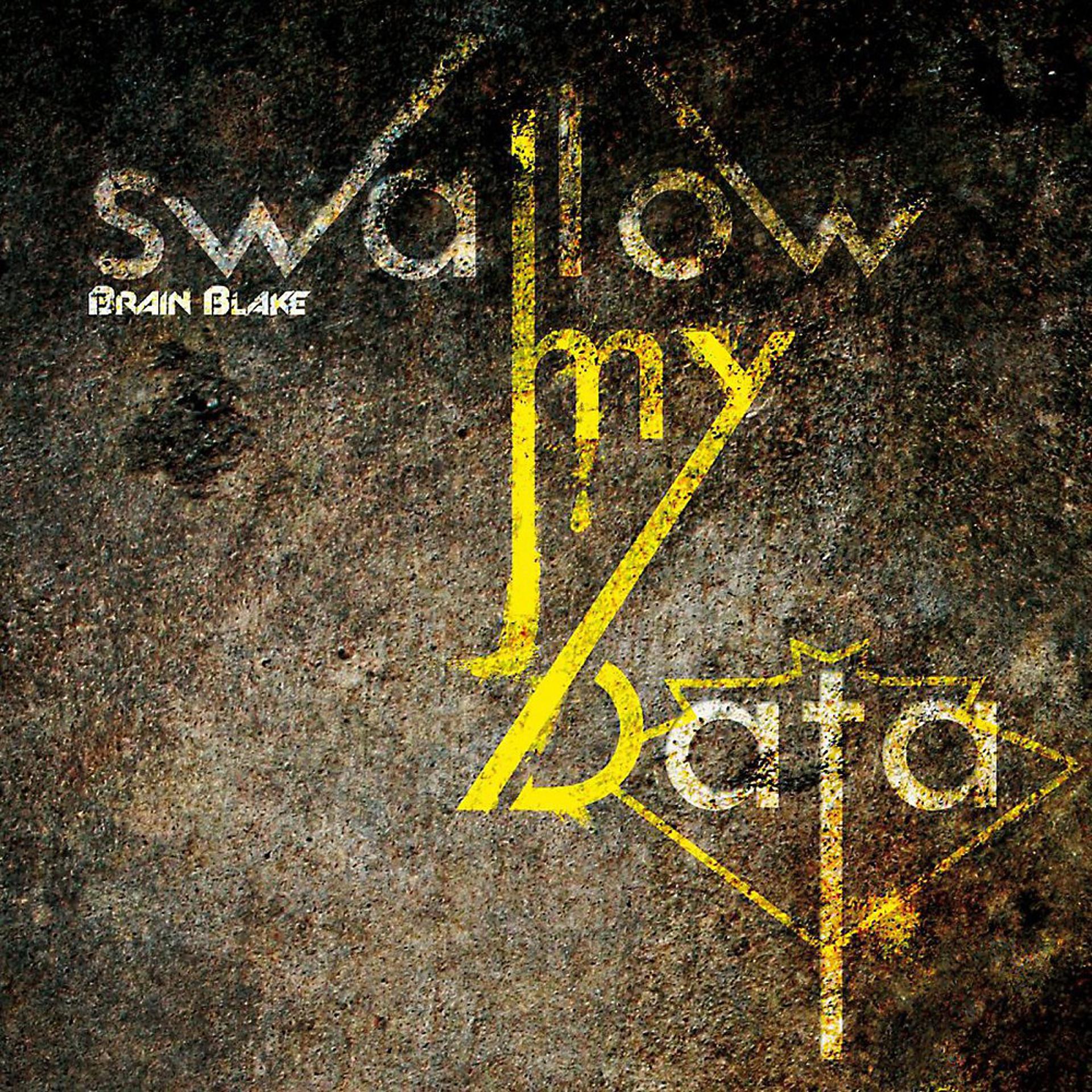 Постер альбома Swallow My Data