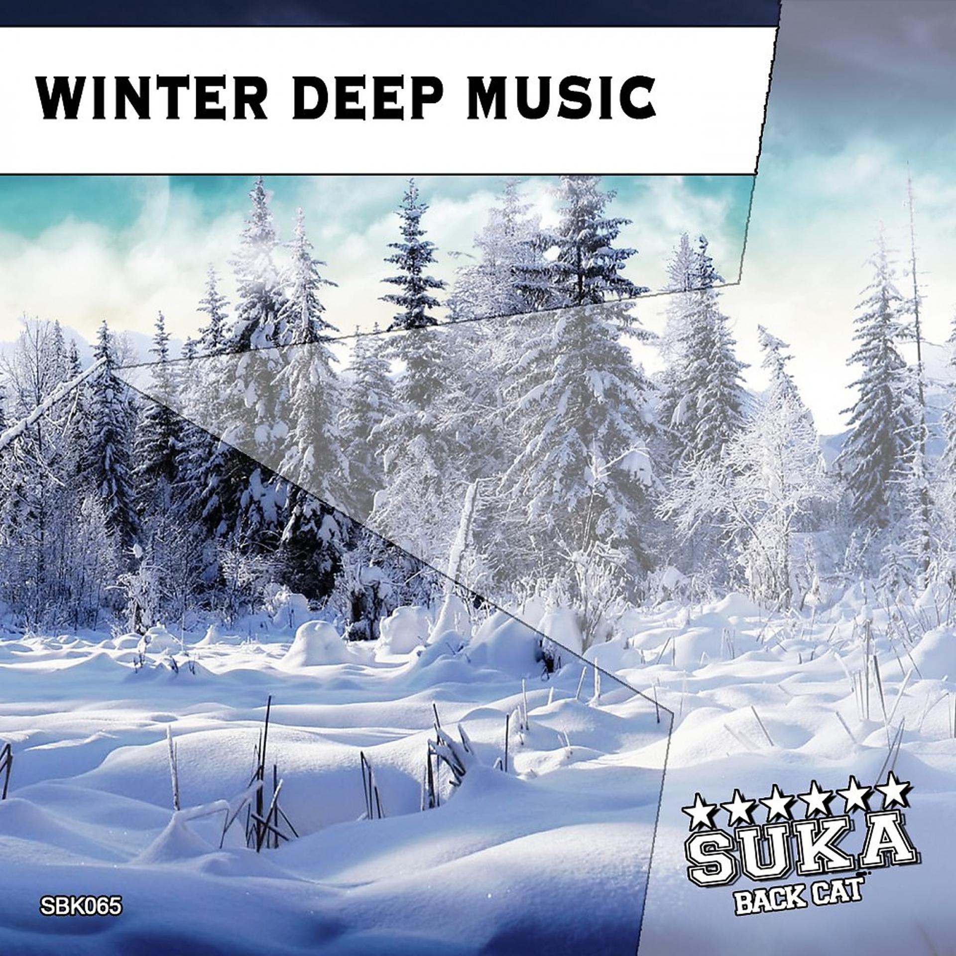 Постер альбома Winter Deep Music
