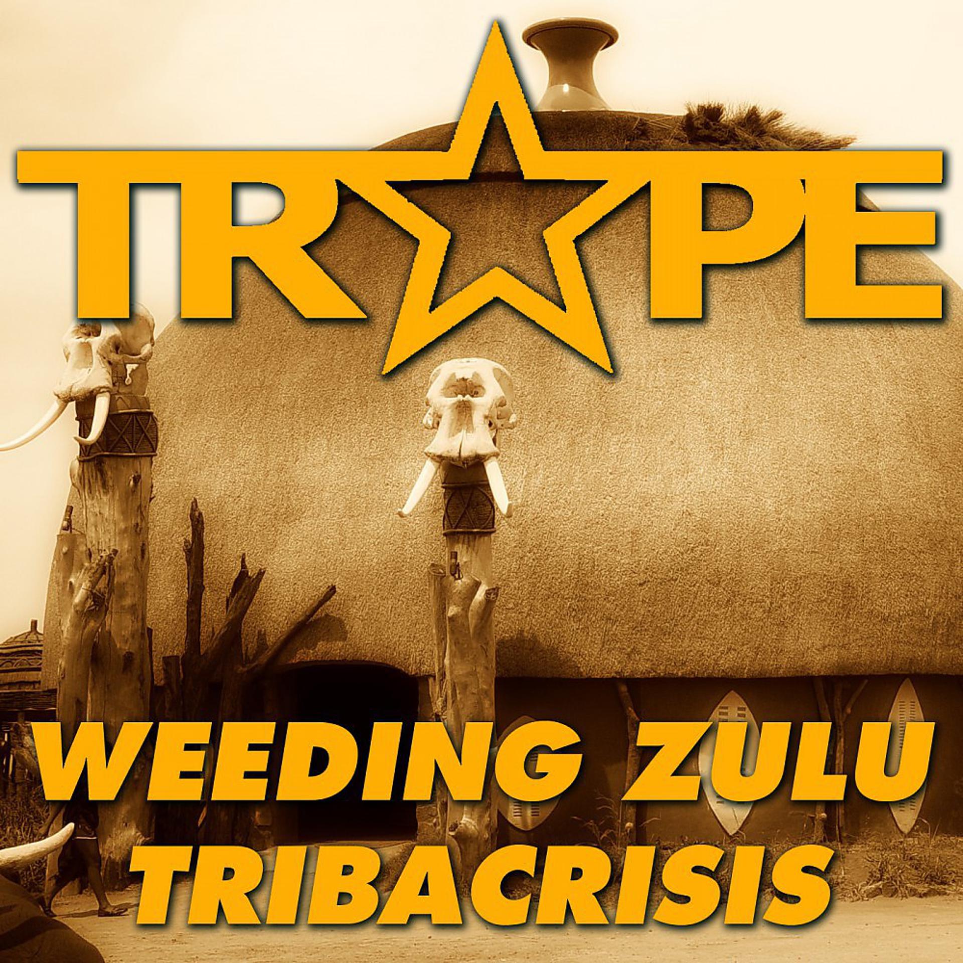 Постер альбома Weeding Zulu - Tribacrisis