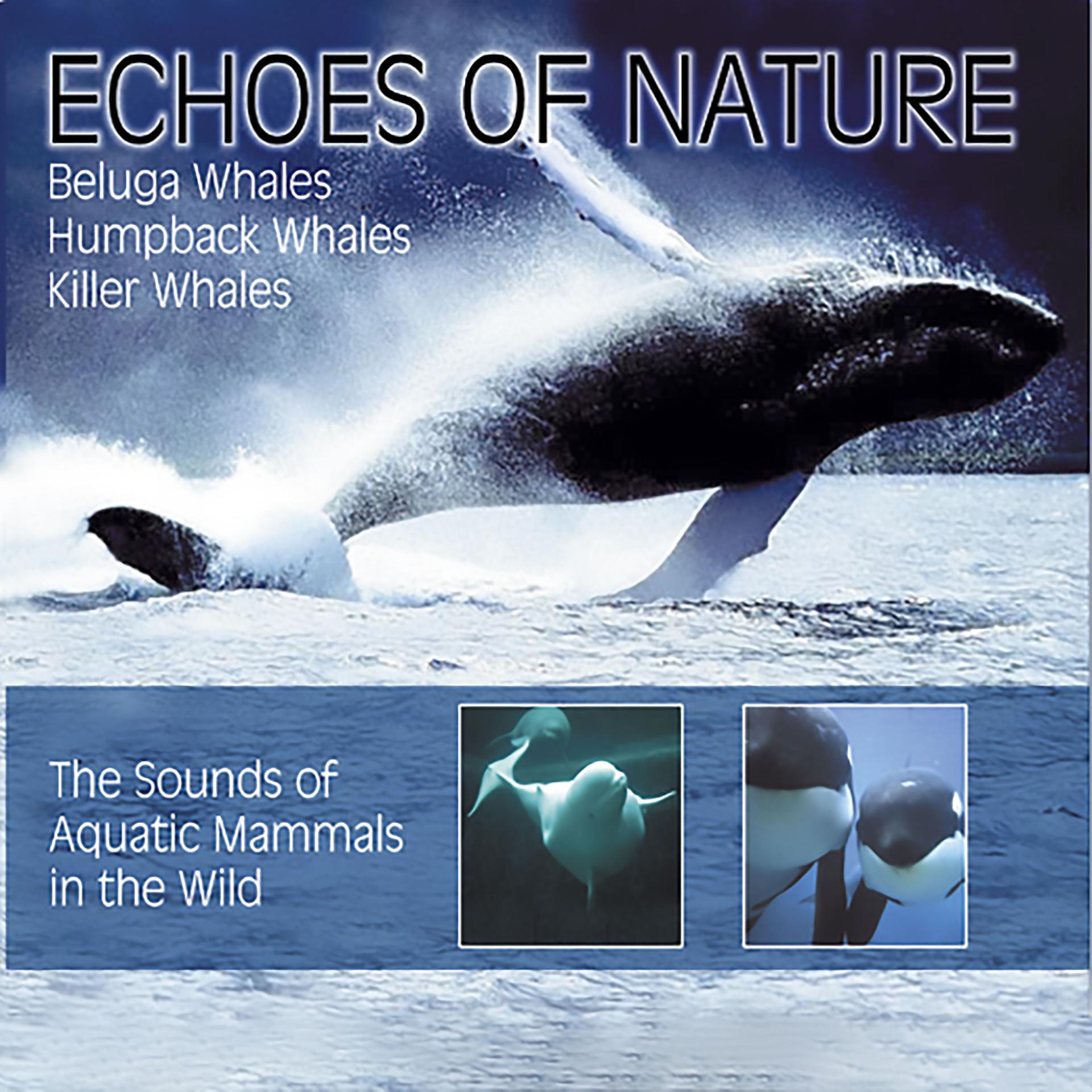 Постер альбома Echoes of Nature: Walgesänge