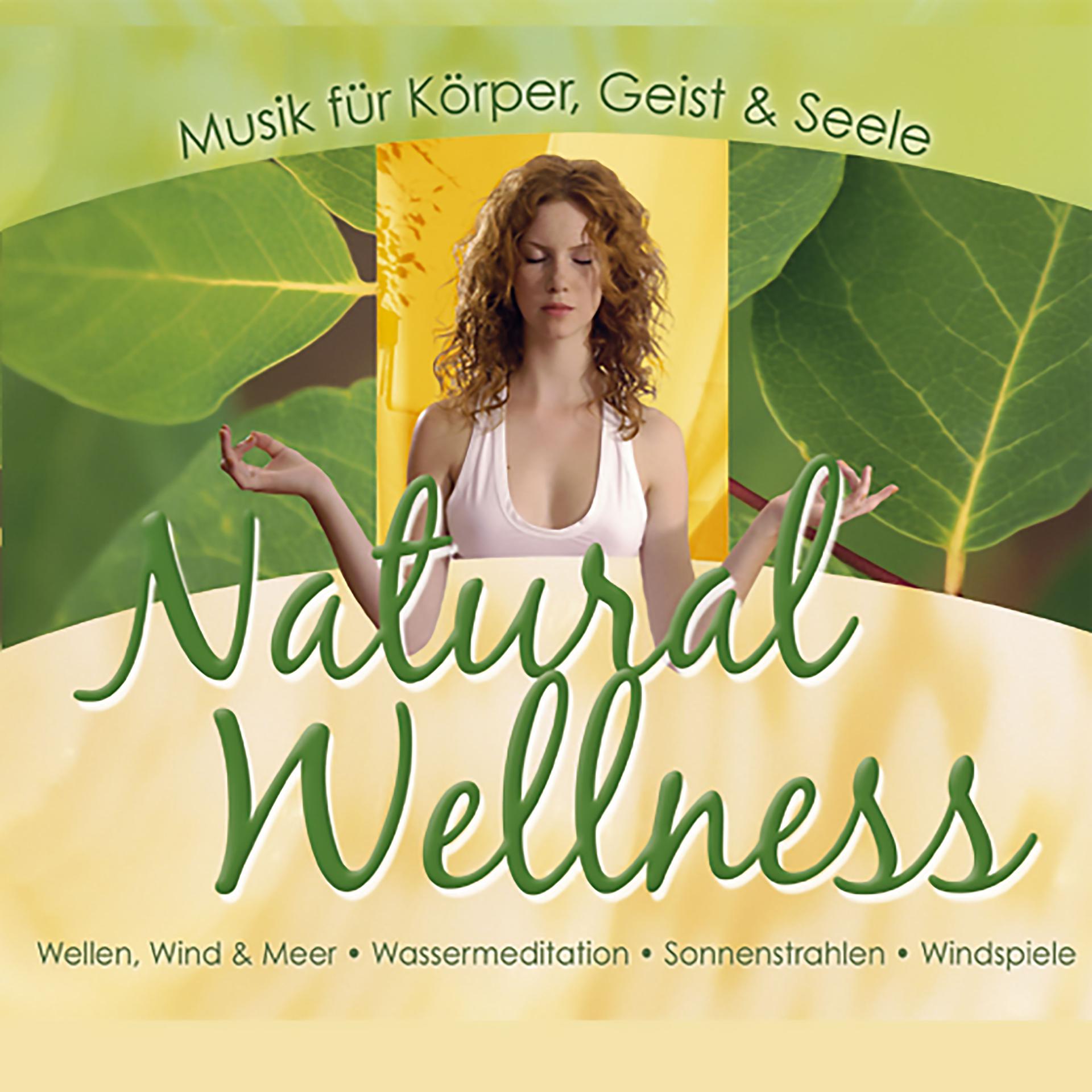 Постер альбома Natural Wellness