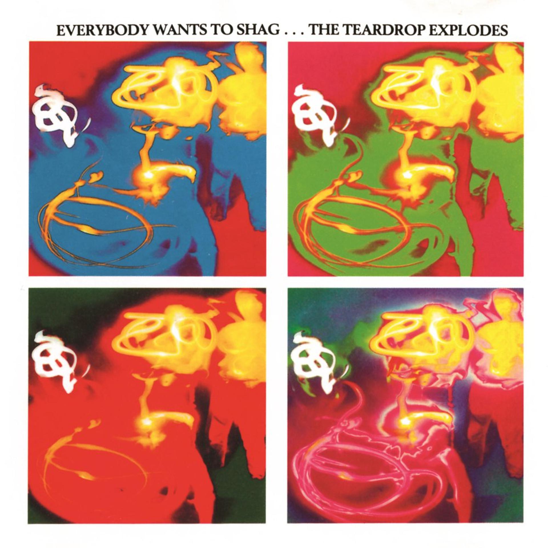 Постер альбома Everybody Wants To Shag... The Teardrop Explodes