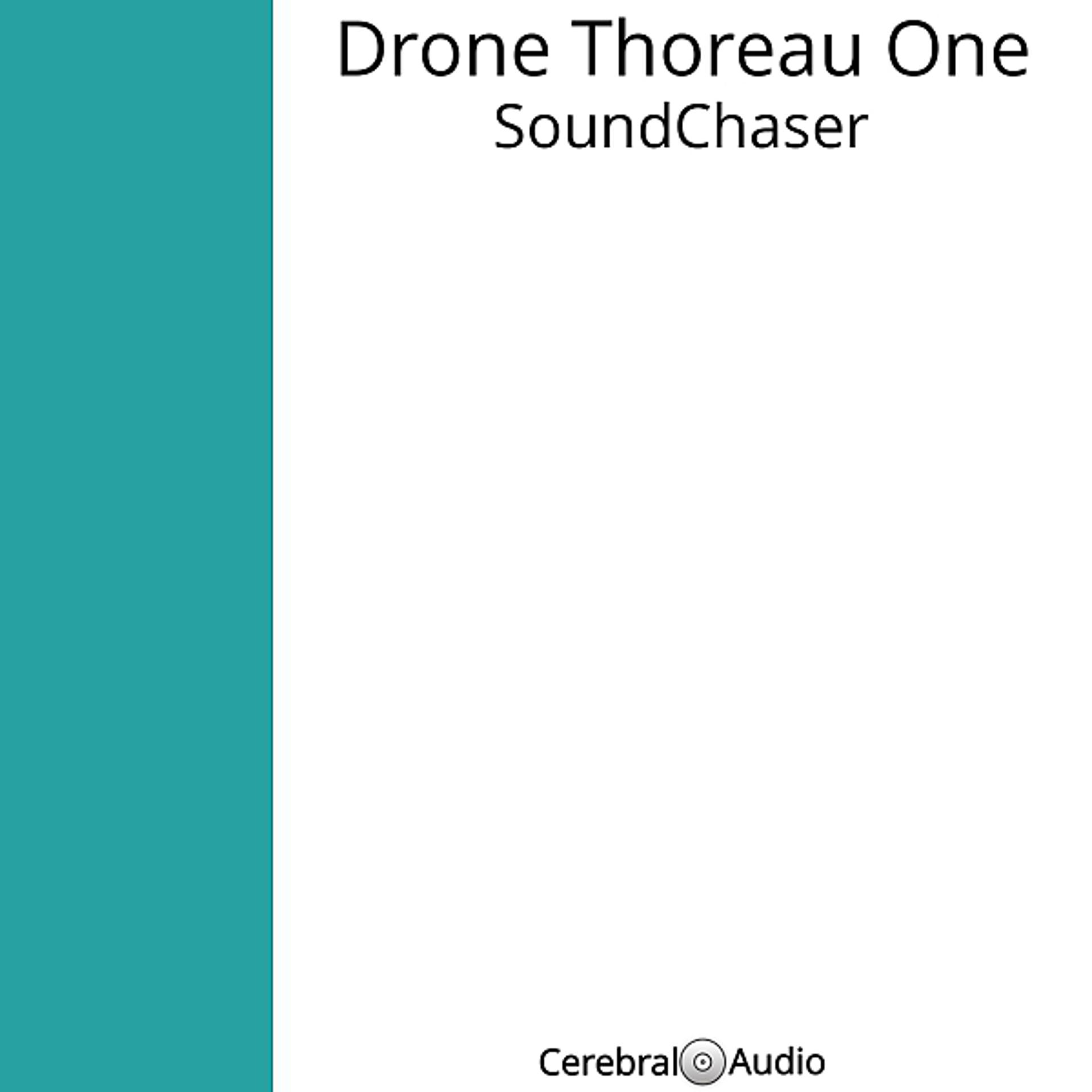 Постер альбома Drone Thoreau One
