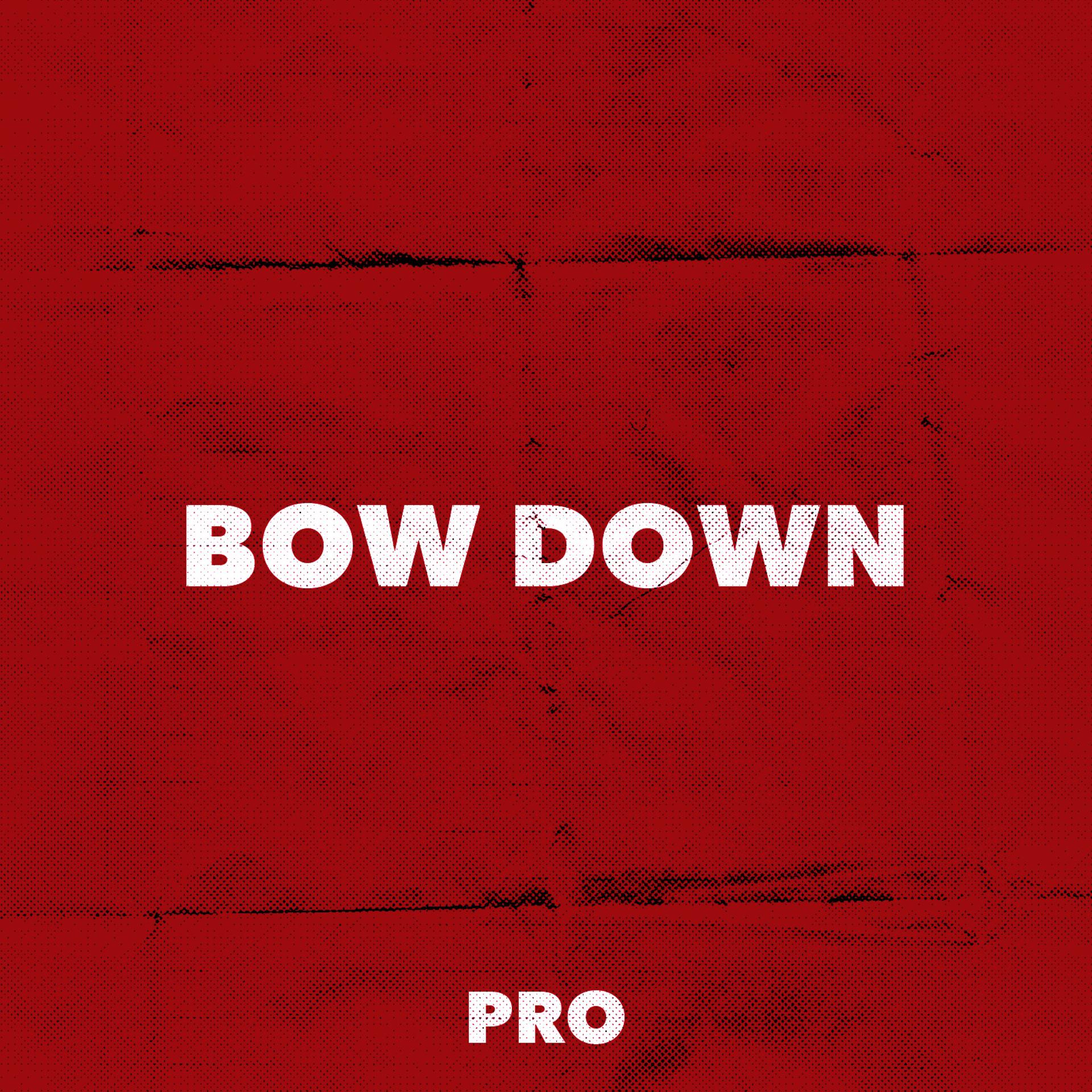 Постер альбома Bow Down (feat. Brothatone)