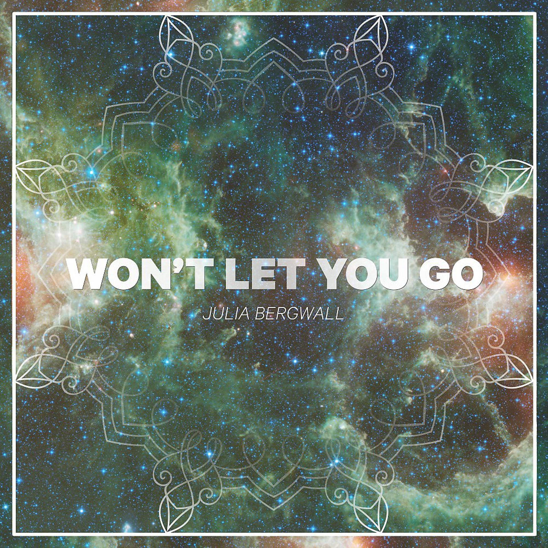 Постер альбома Won't Let You Go