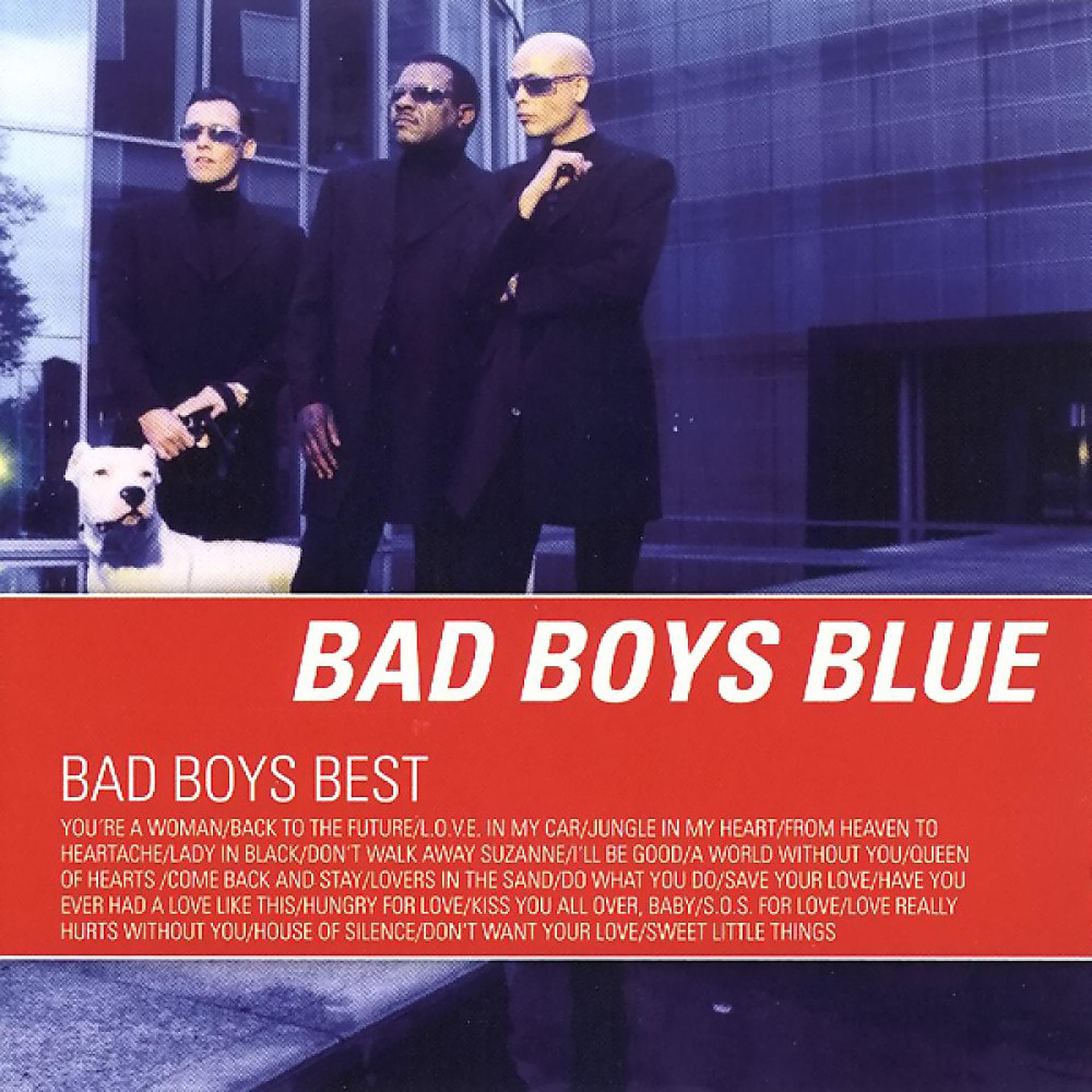Постер альбома Bad Boys Best