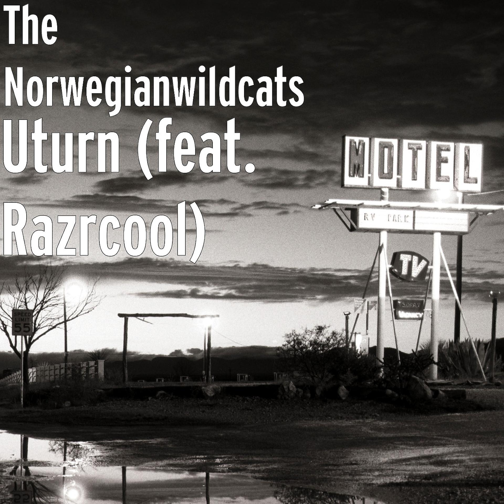 Постер альбома Uturn (feat. Razrcool)