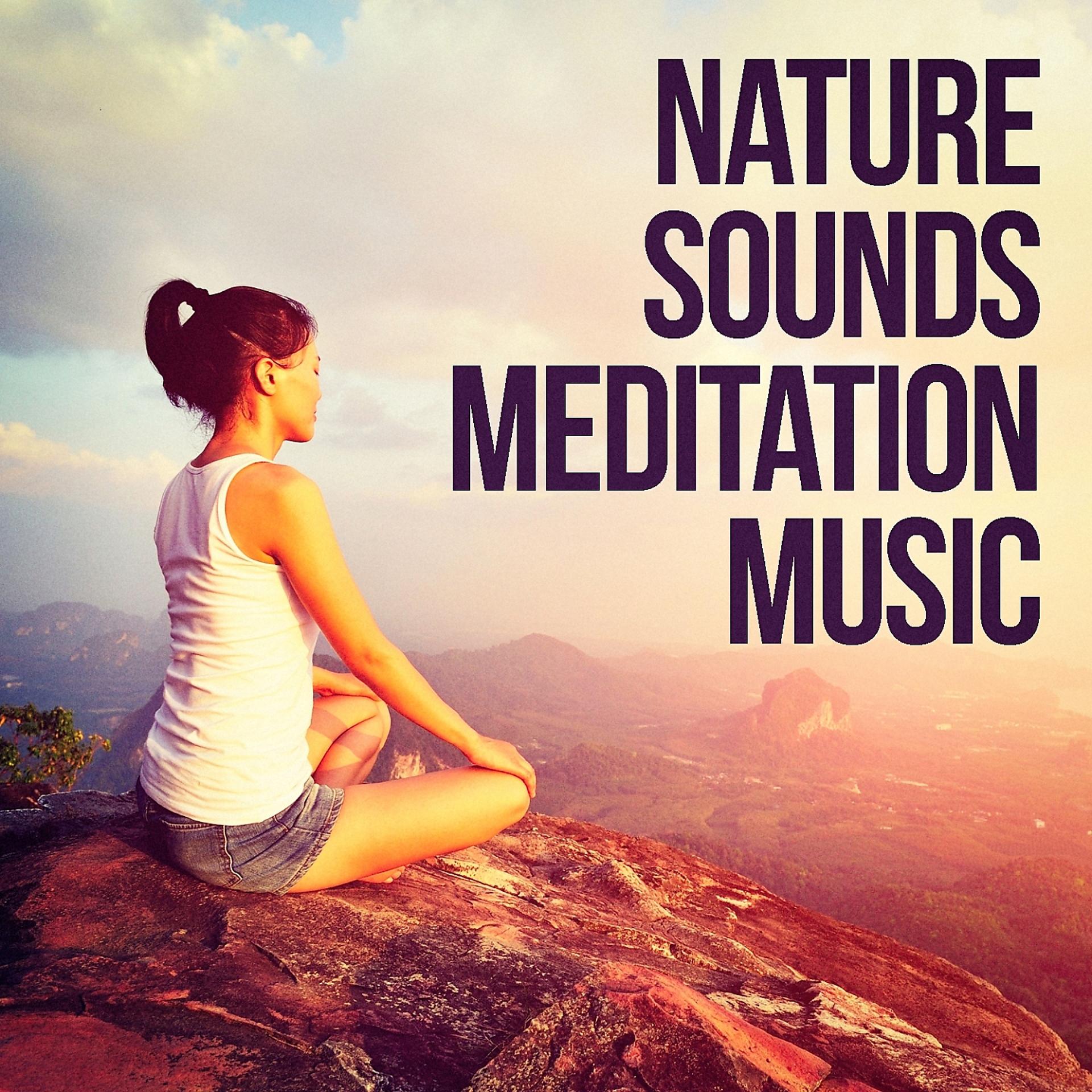 Постер альбома Nature Sounds Meditation Music