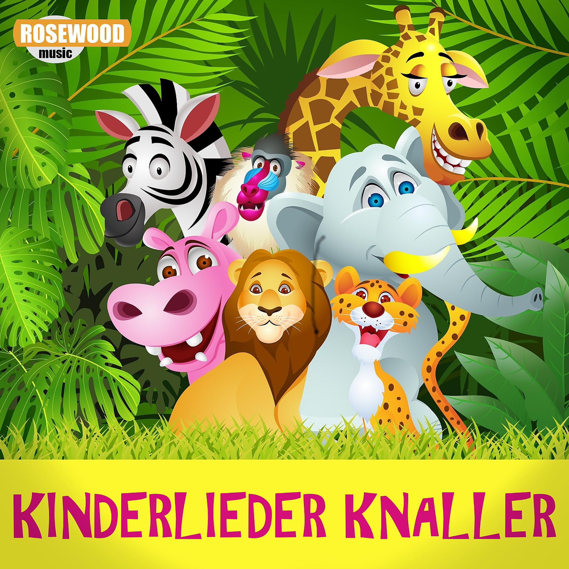 Постер альбома Kinderlieder Knaller