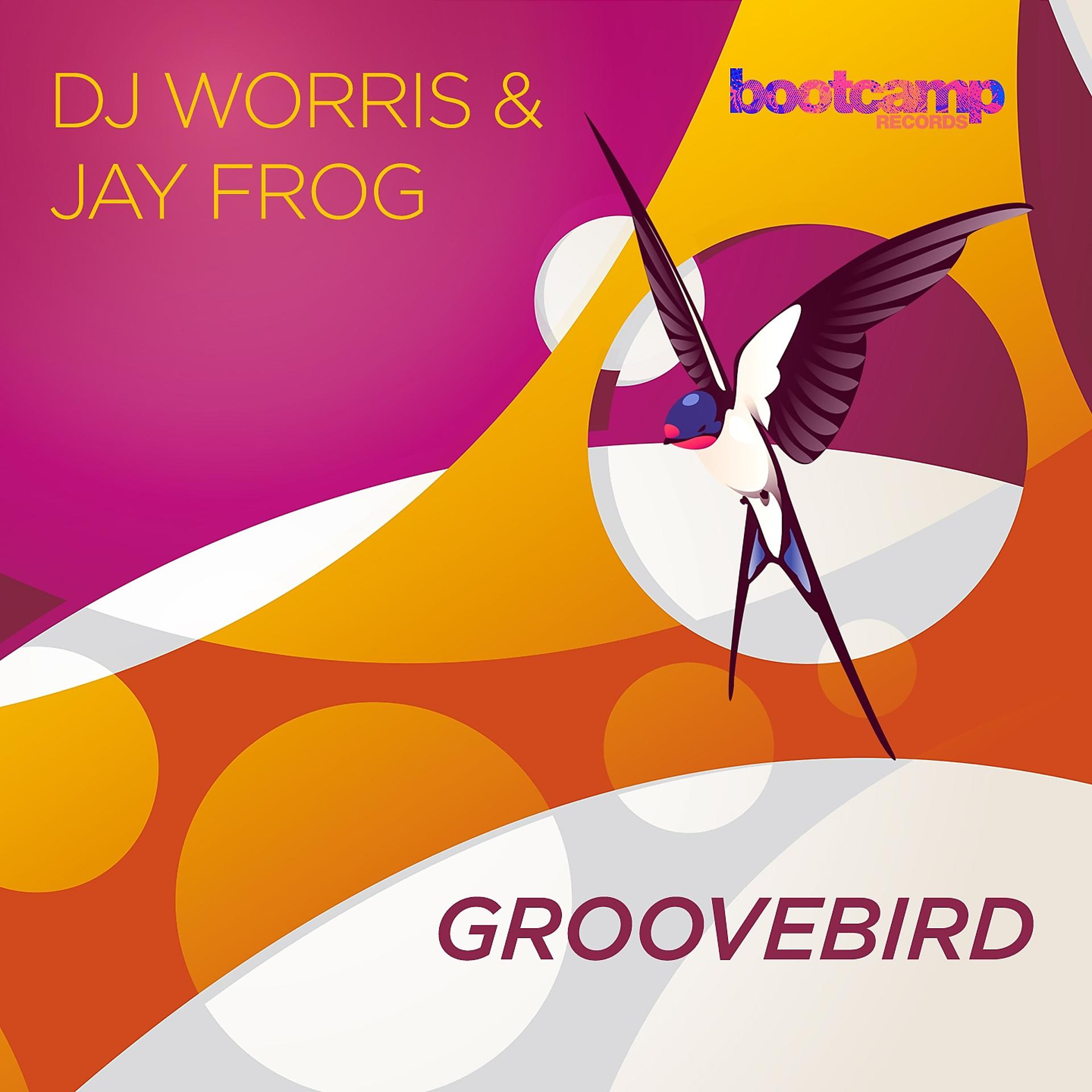 Постер альбома Groovebird