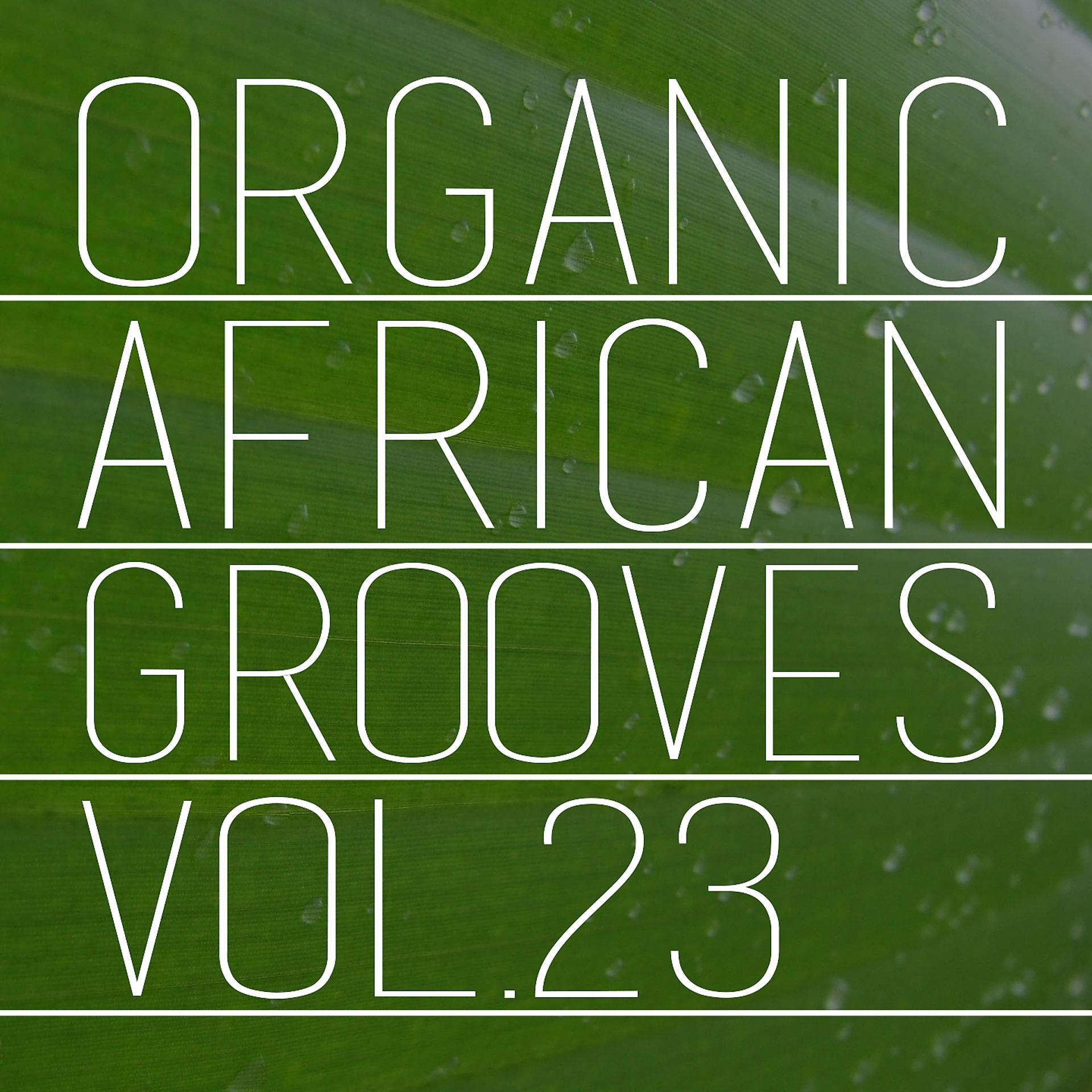 Постер альбома Organic African Grooves, Vol.23