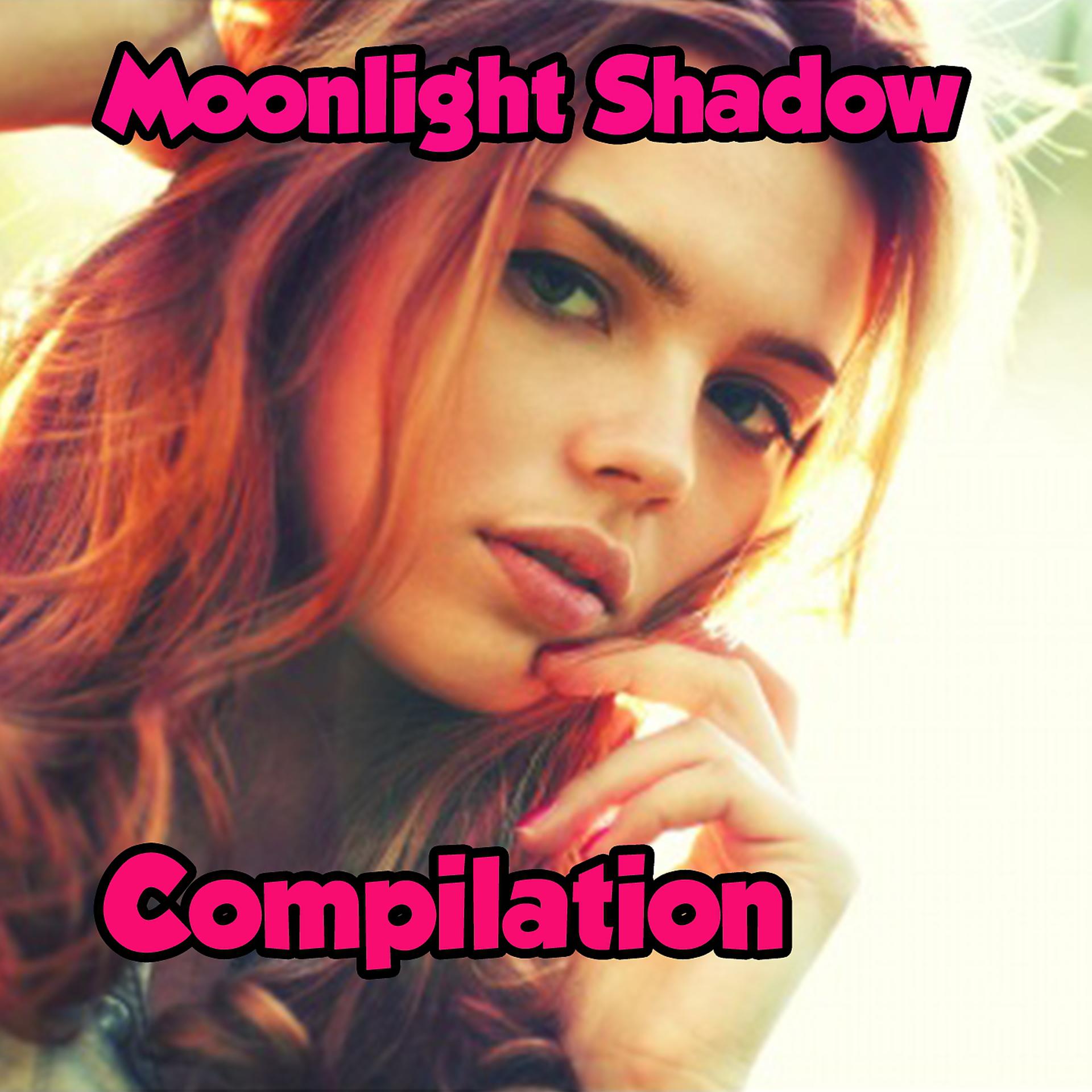 Постер альбома Moonlight Shadow Compilation