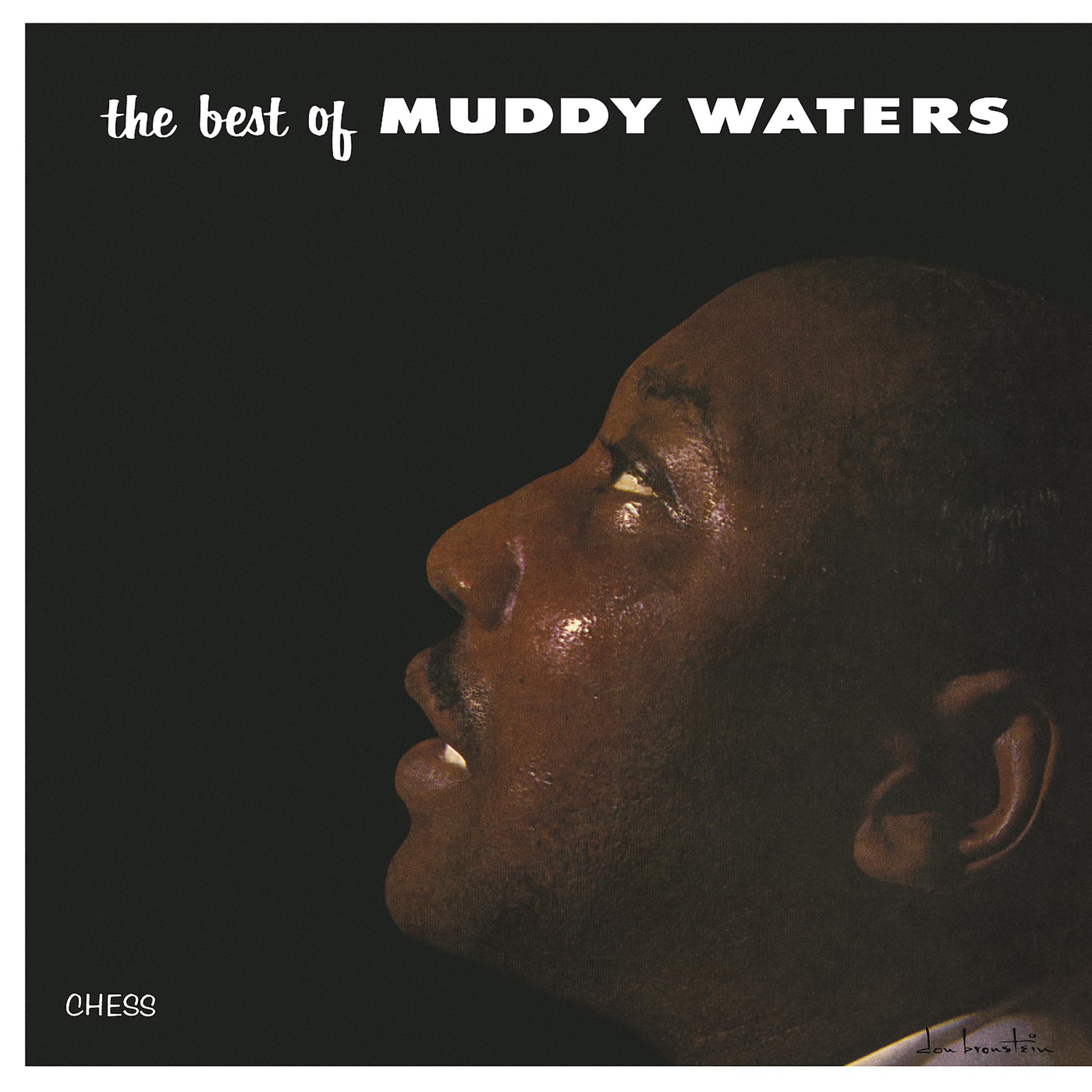 Постер альбома The Best Of Muddy Waters