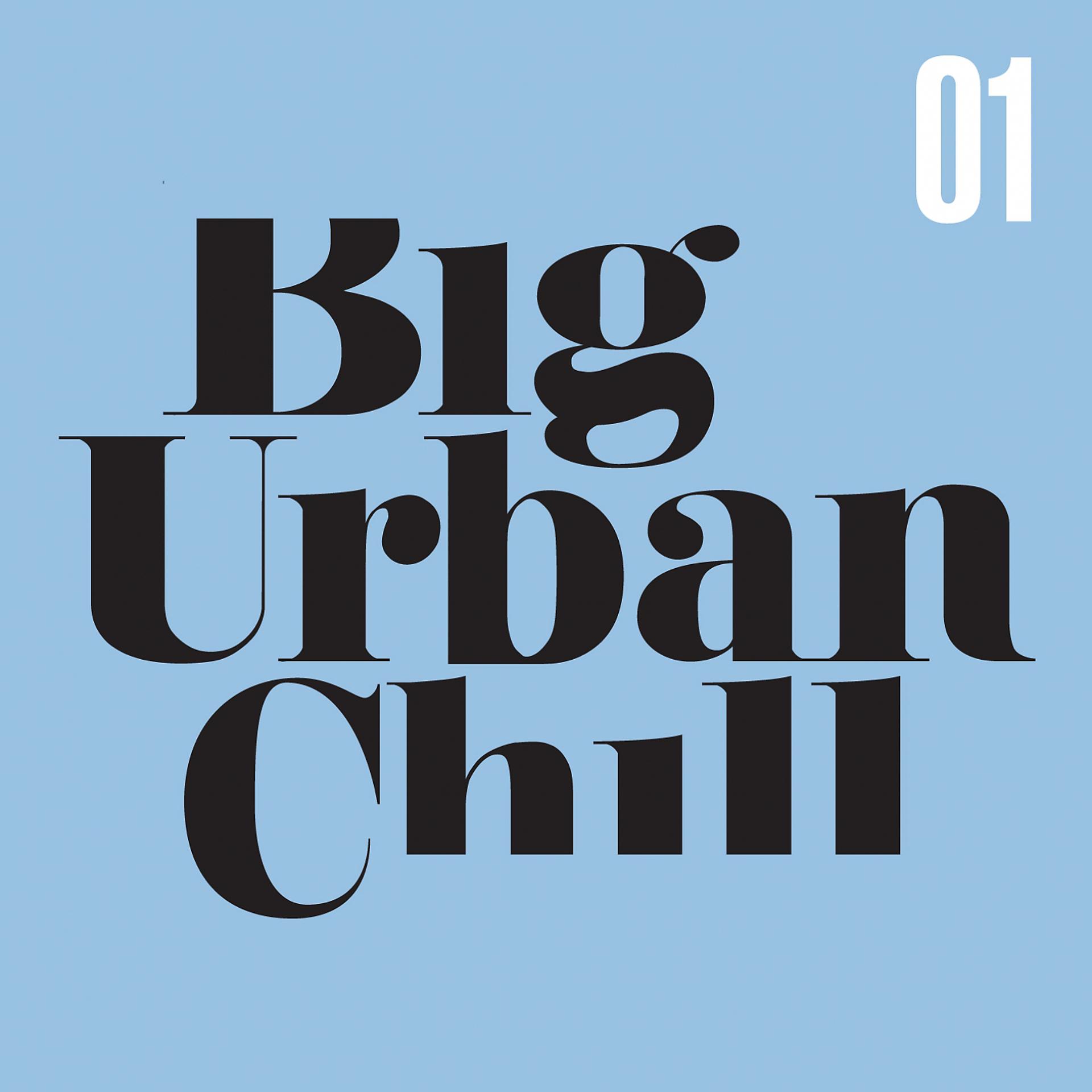 Постер альбома Big Urban Chill, Vol. 1