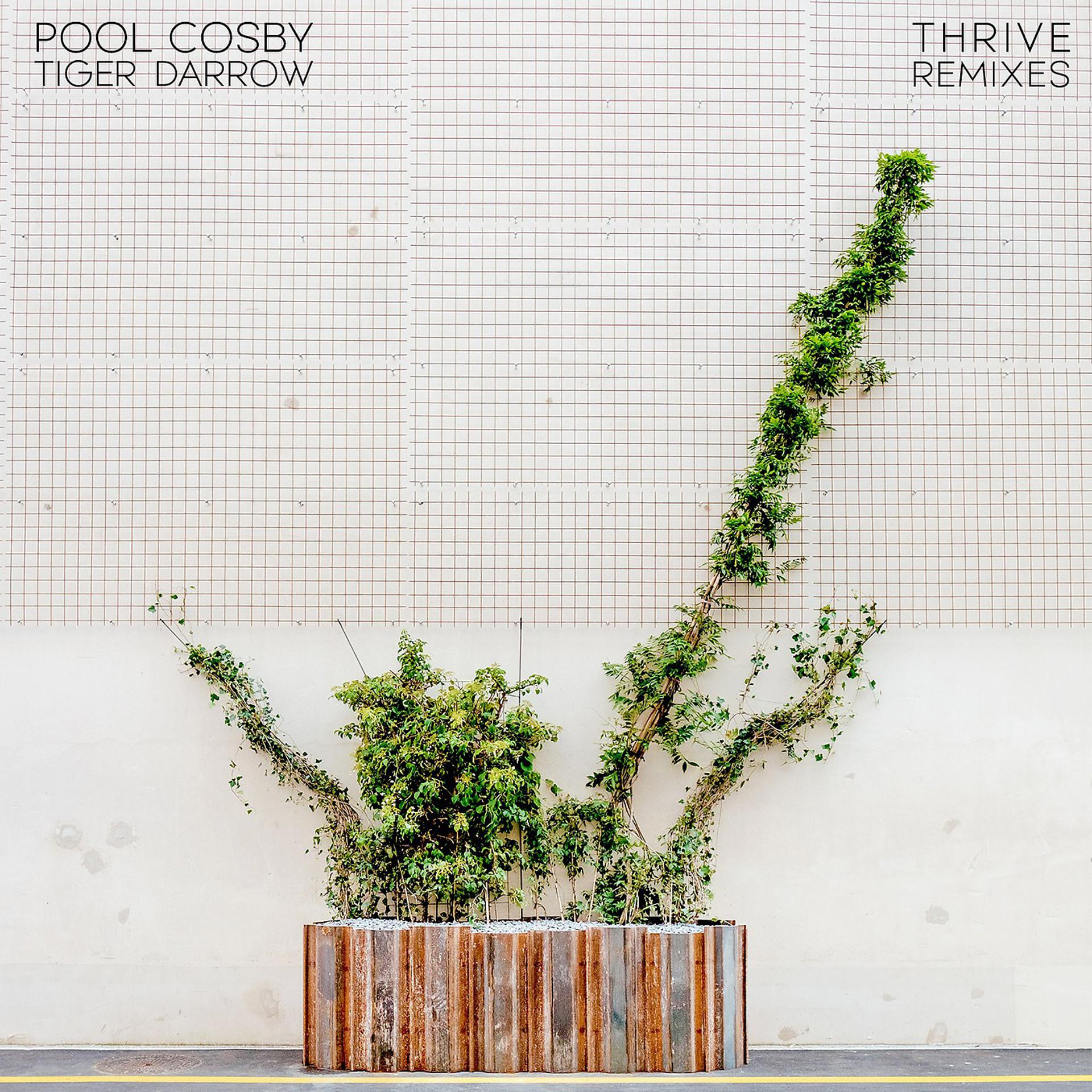 Постер альбома Thrive Remixes