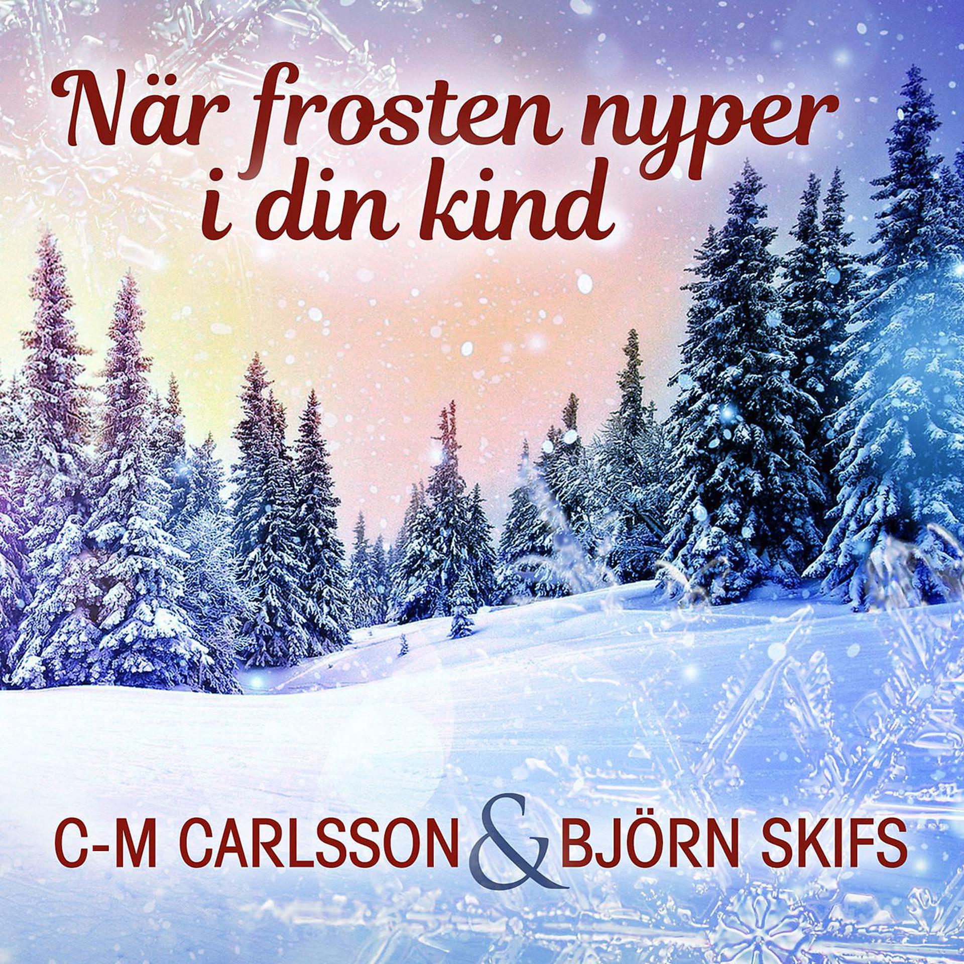 Постер альбома När frosten nyper i din kind