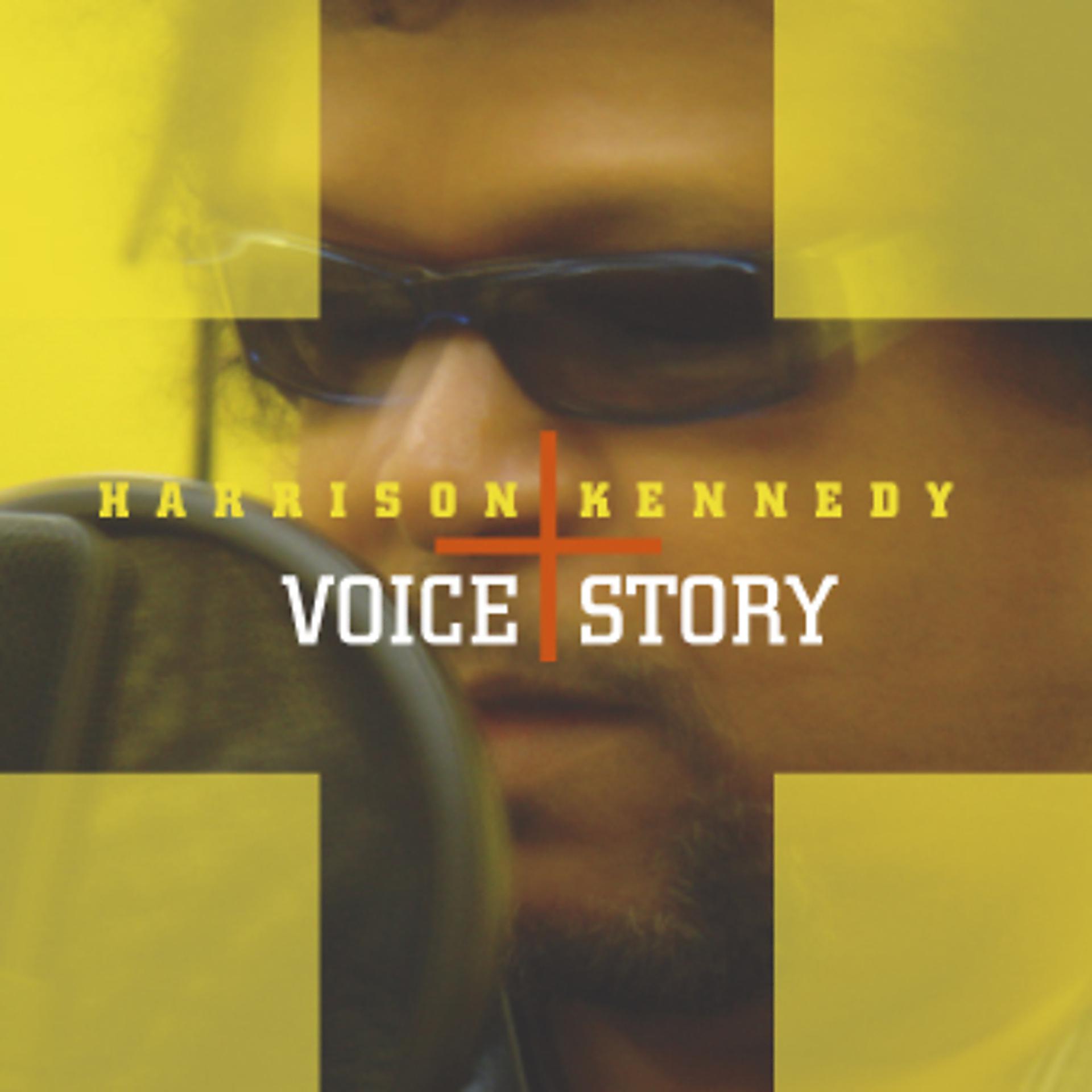 Постер альбома Voice + Story