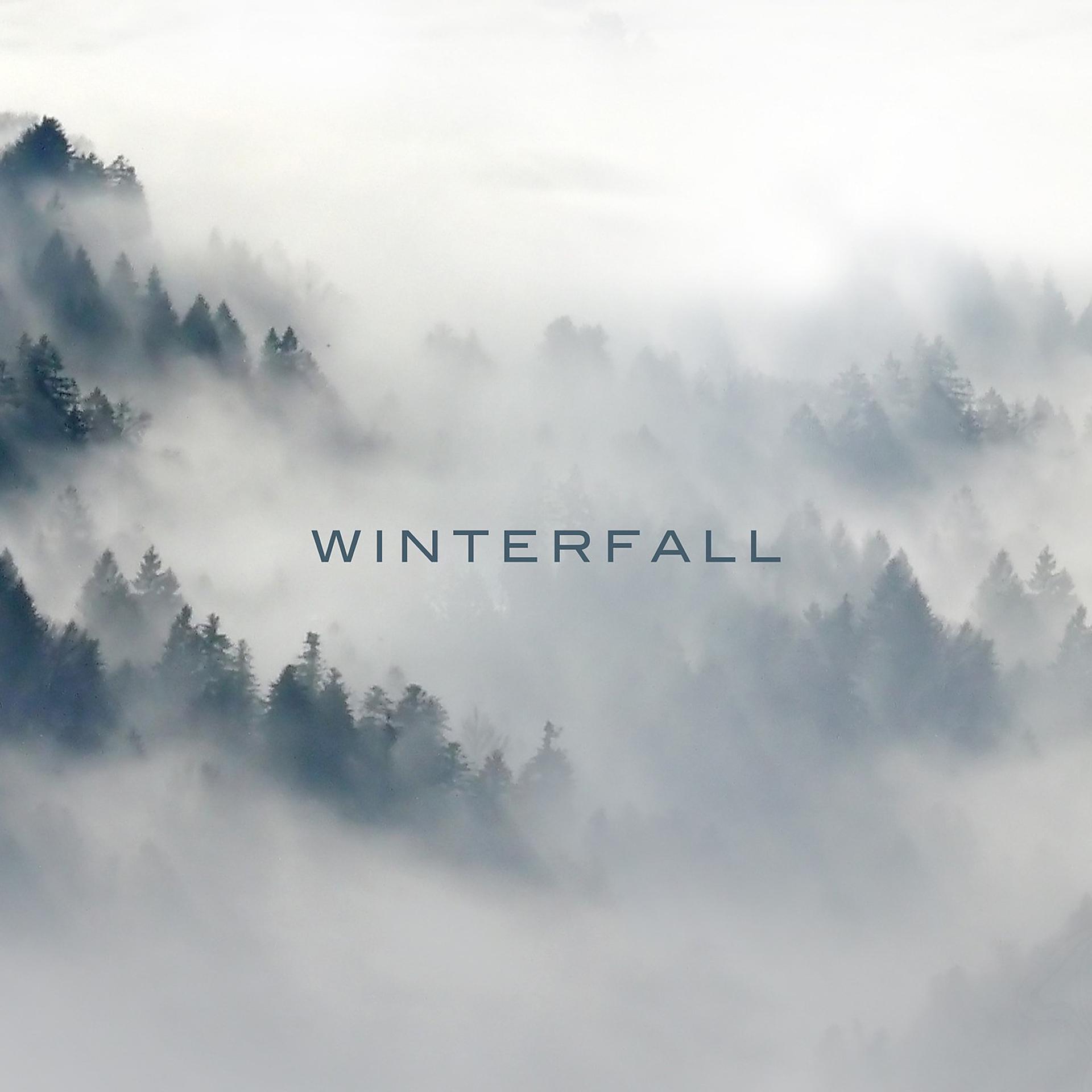 Постер альбома Winterfall