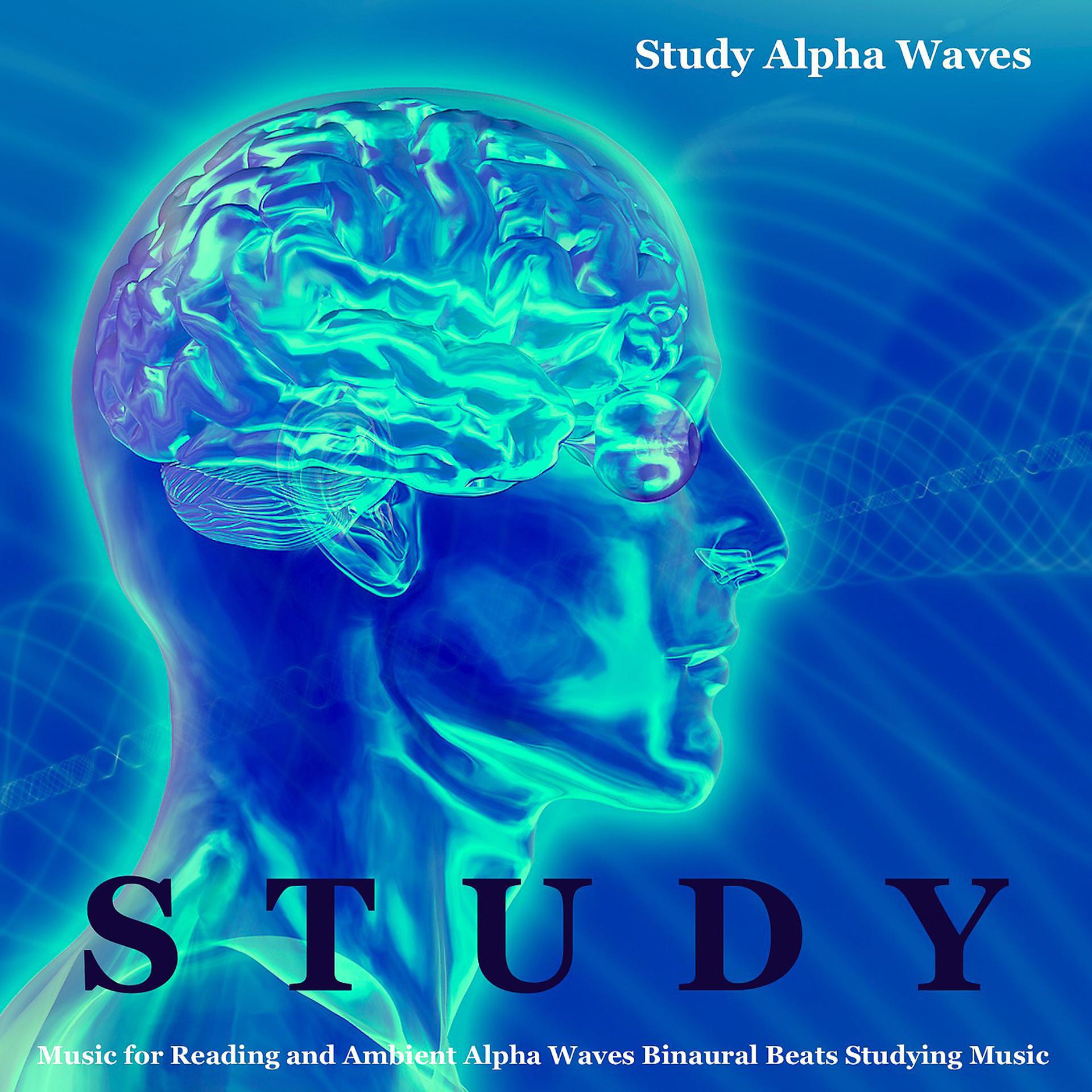 Постер альбома Study Music for Reading and Ambient Alpha Waves Binaural Beats Studying Music