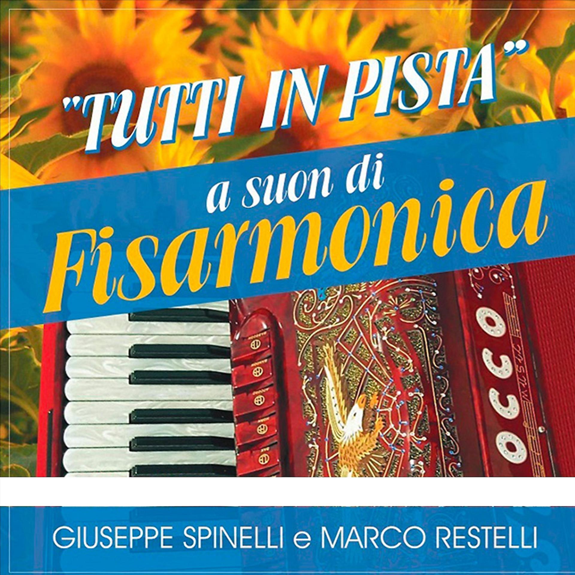 Постер альбома Tutti in pista a suon di fisarmonica