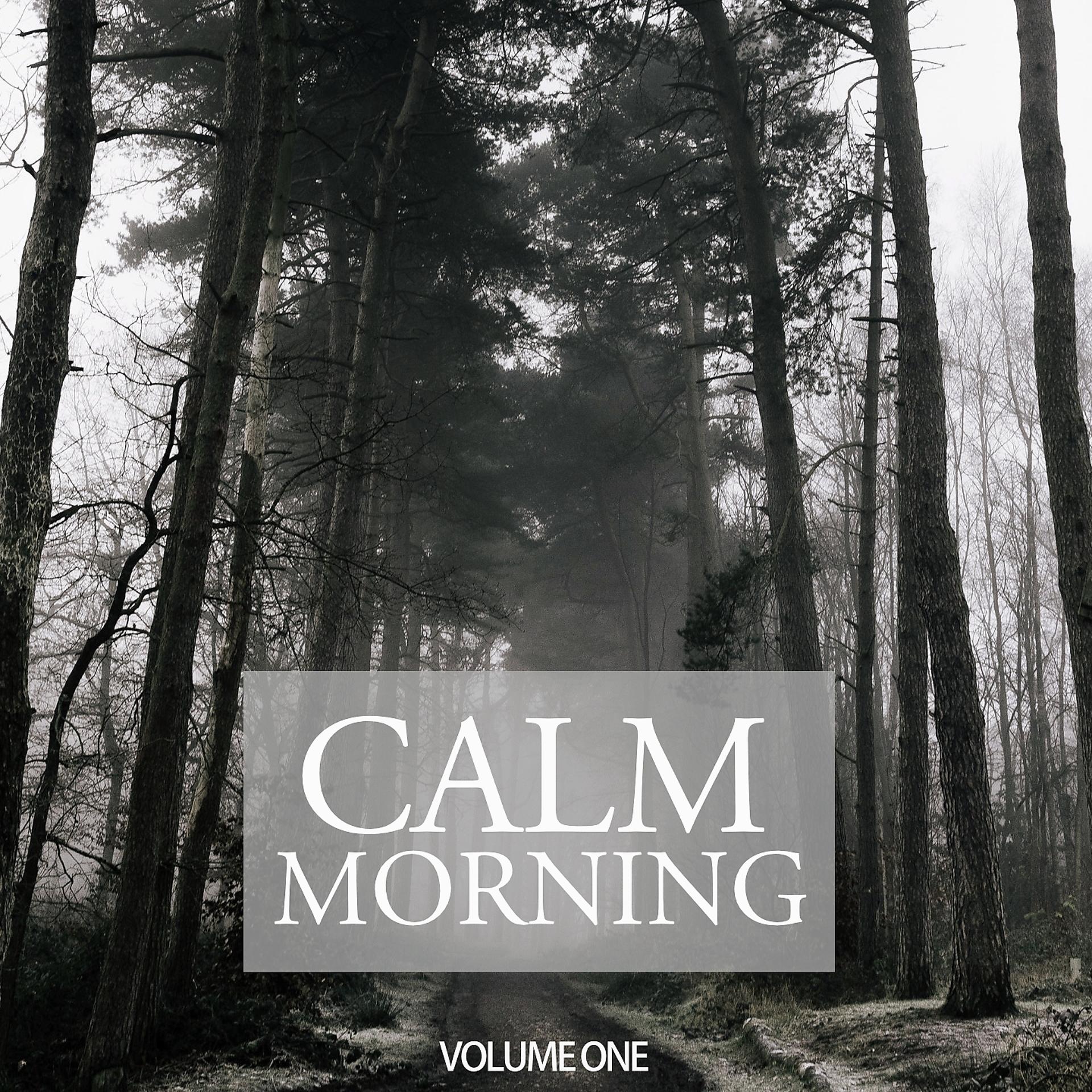 Постер альбома Calm Morning, Vol. 1