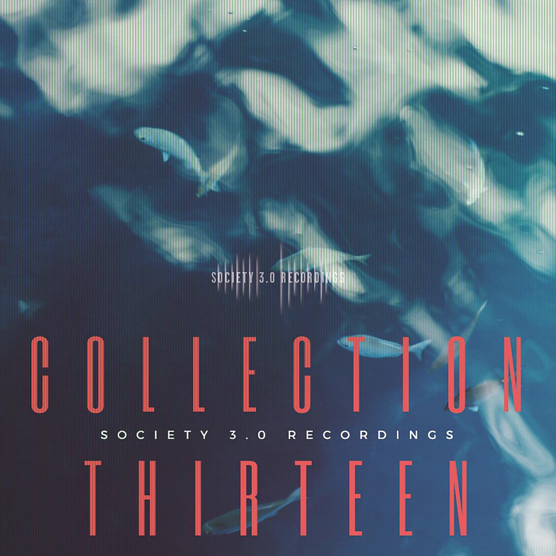 Постер альбома Society 3.0 Recordings (Collection Thirteen)