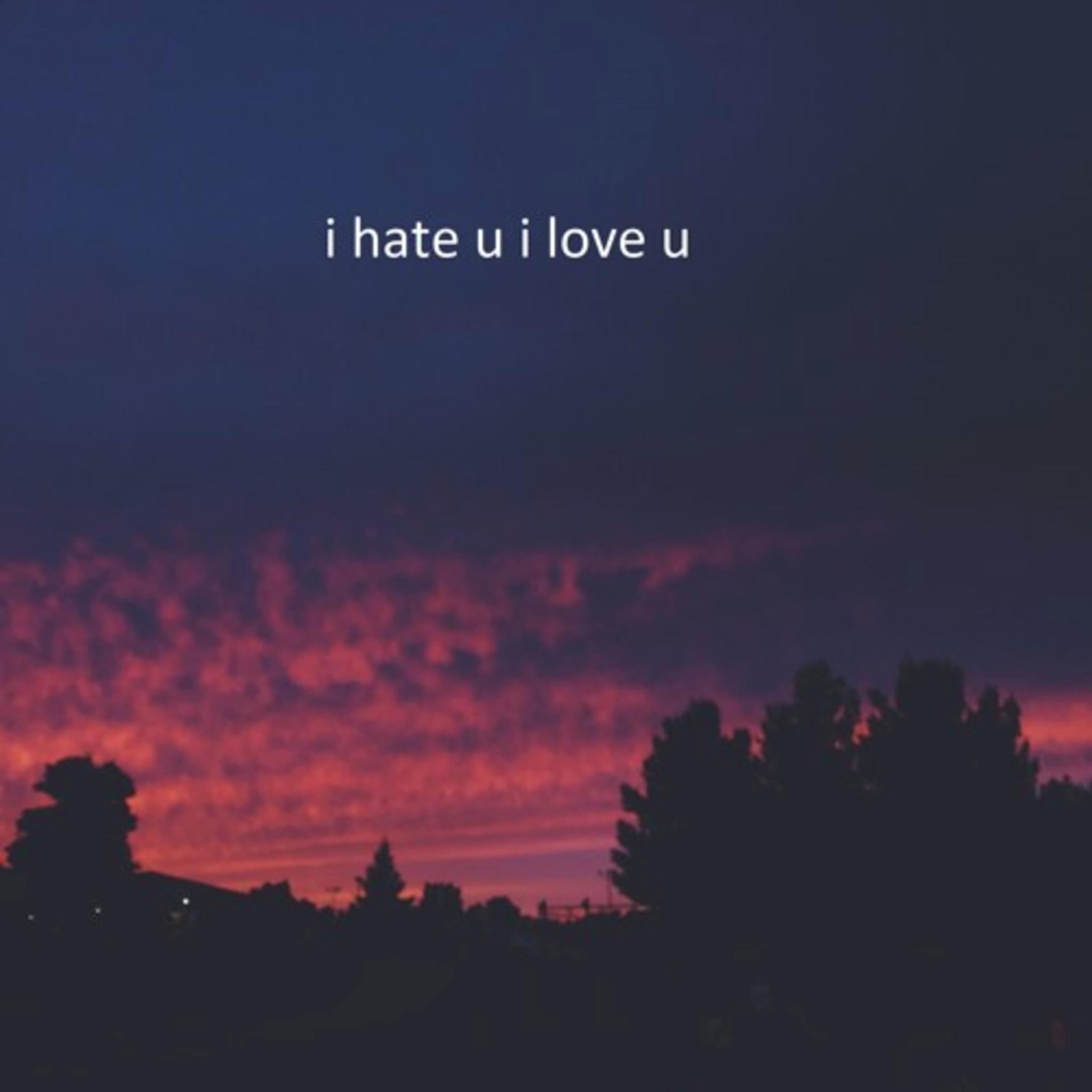 Постер альбома I Hate U I Love U