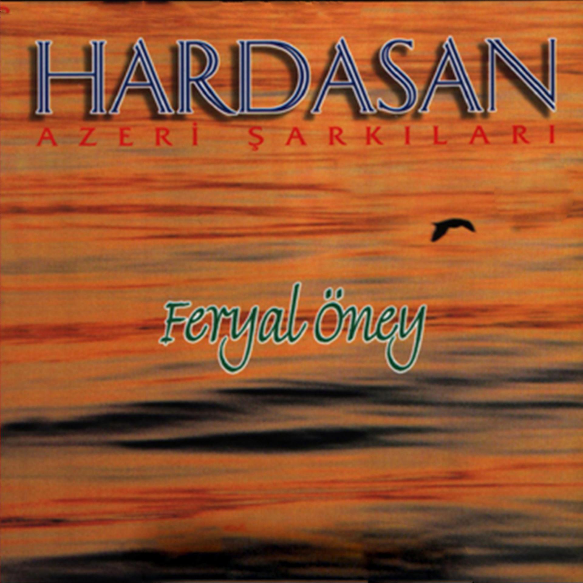 Постер альбома Hardasan Azeri Şarkıları