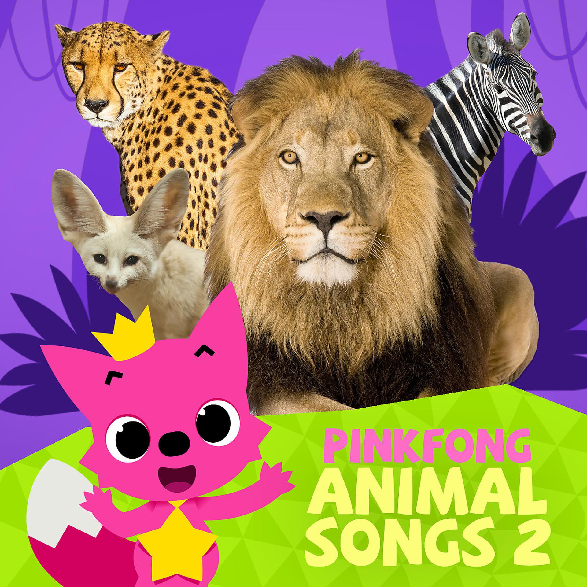 Постер альбома Animal Songs 2