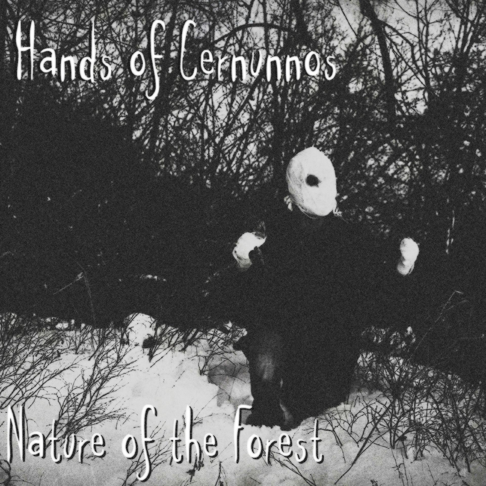 Постер альбома Nature of the Forest