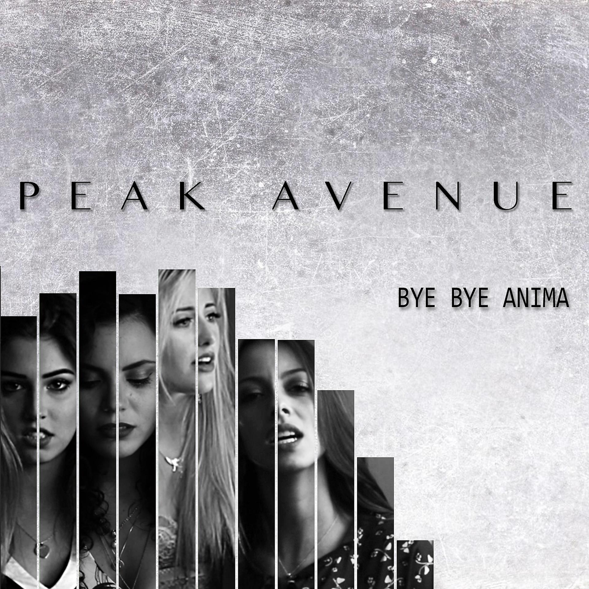 Постер альбома Bye Bye Anima
