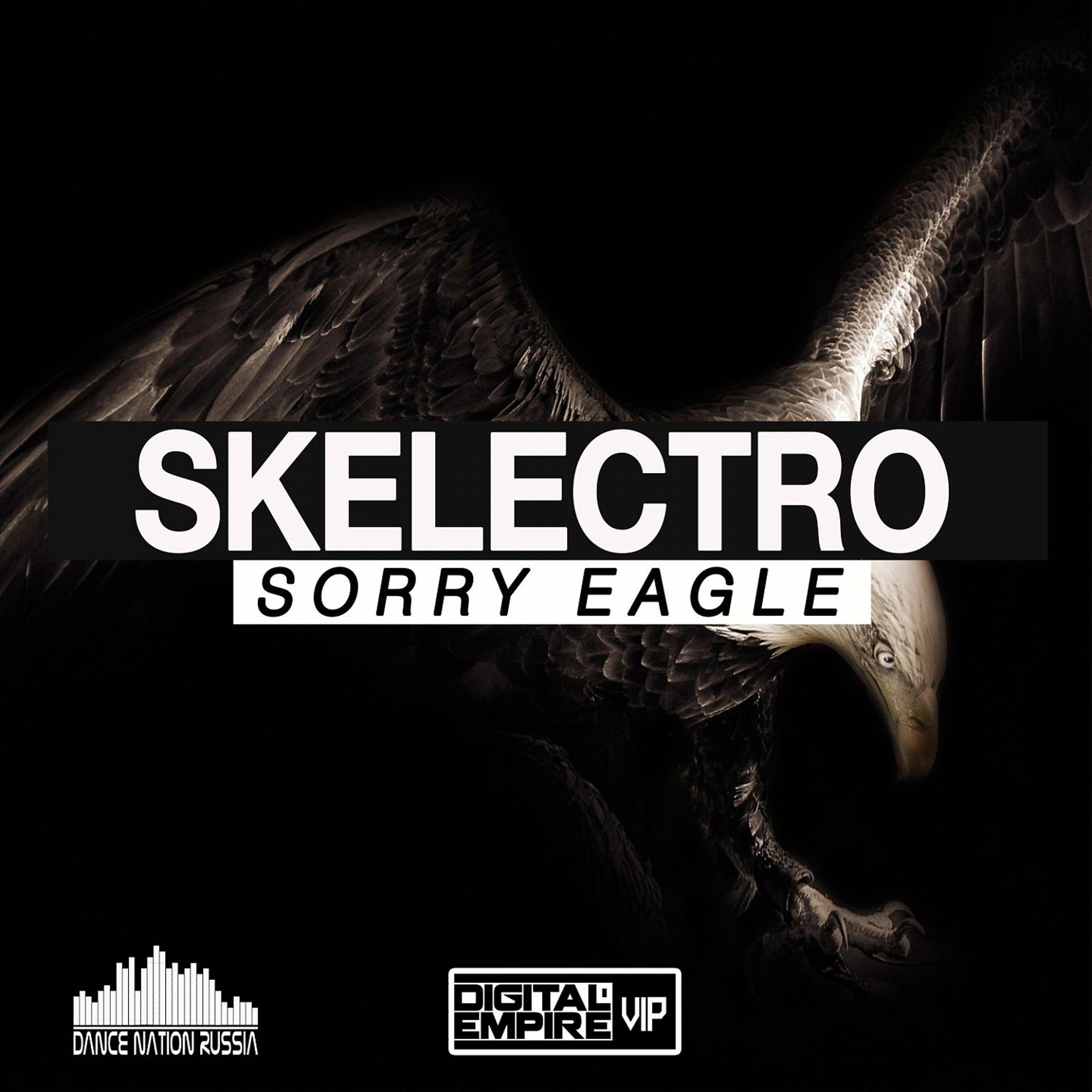 Постер альбома Sorry Eagle