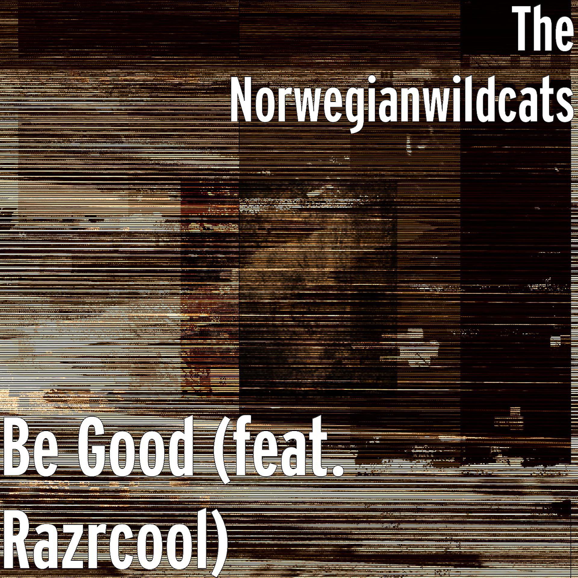 Постер альбома Be Good (feat. Razrcool)