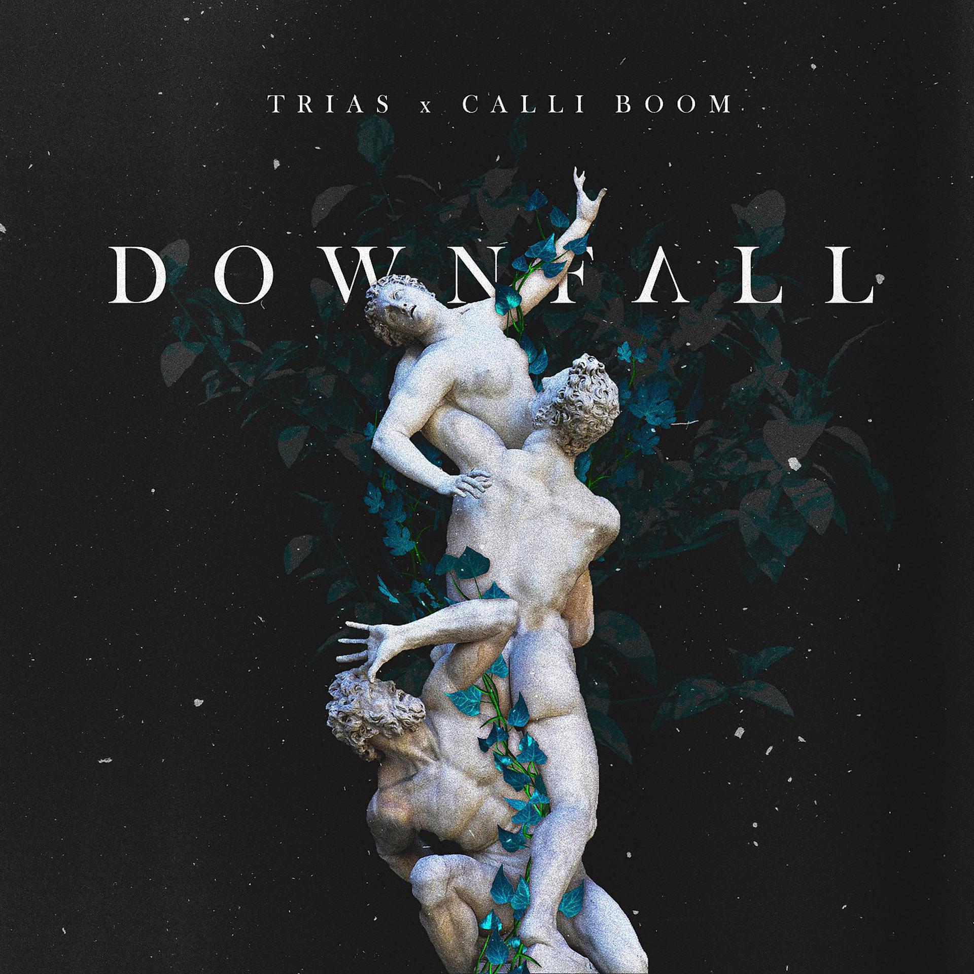 Постер альбома Downfall