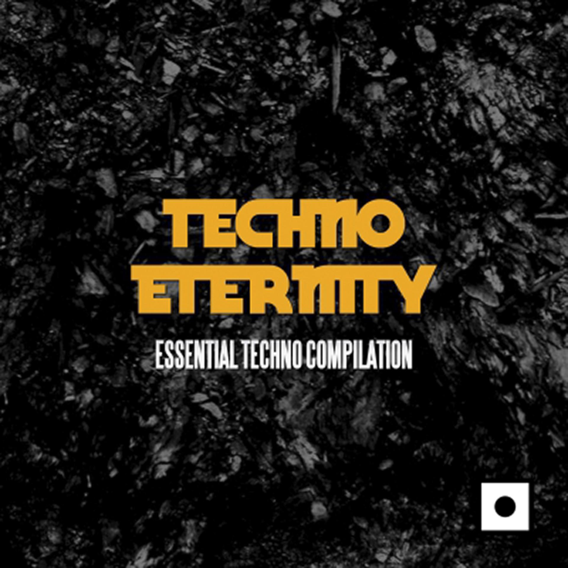 Постер альбома Techno Eternity (Essential Techno Compilation)