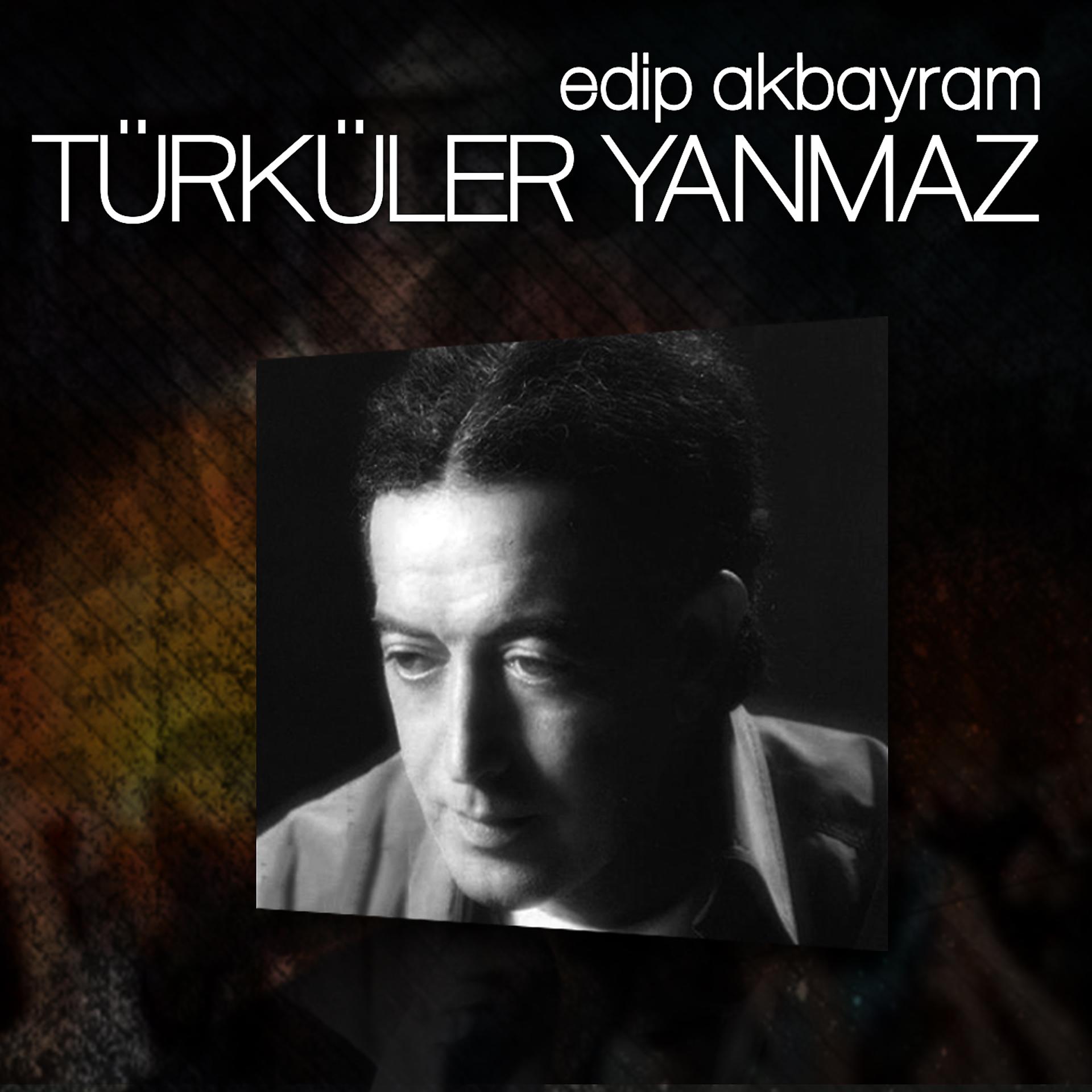 Постер альбома Türküler Yanmaz