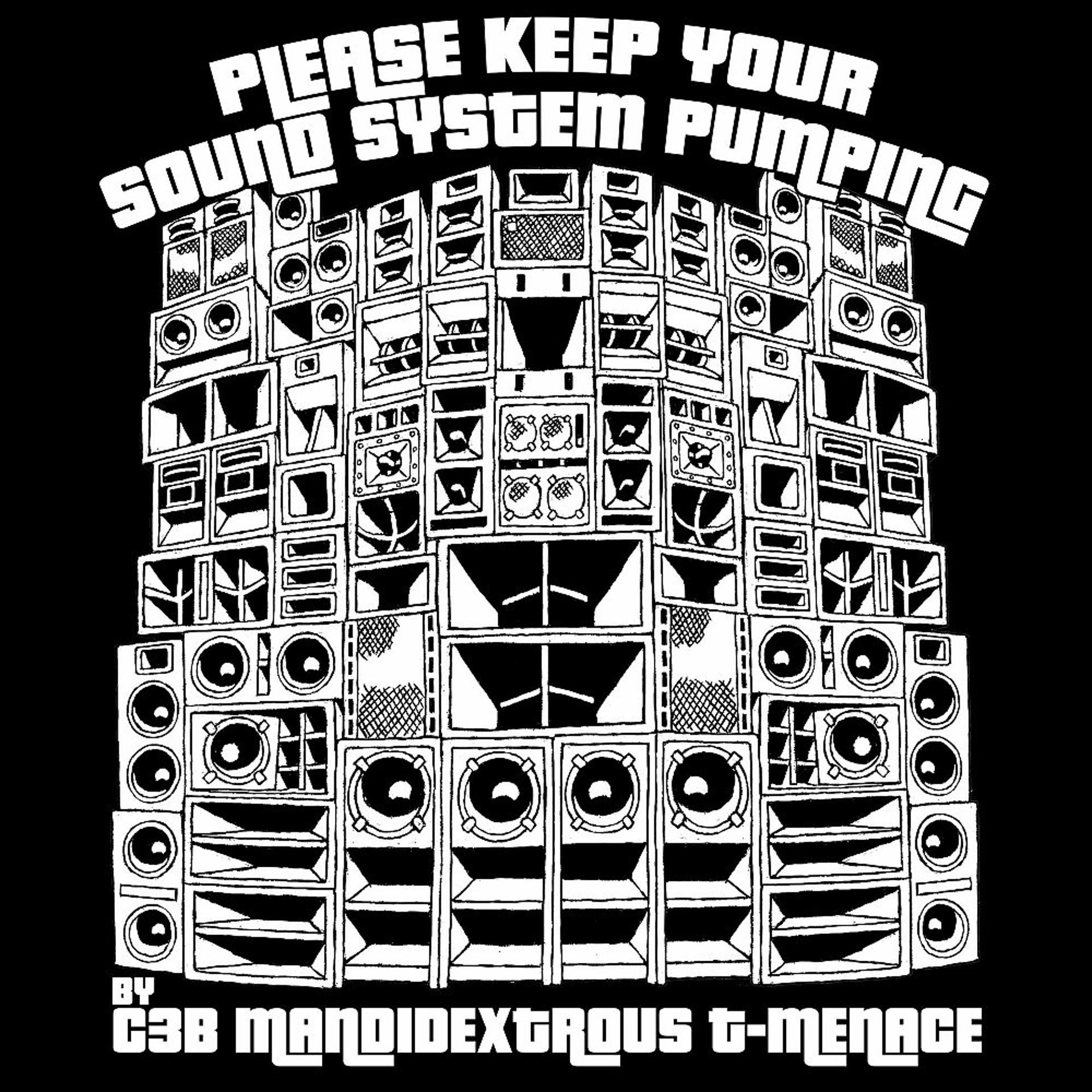 Постер альбома Please Keep Your Soundsystem Pumping