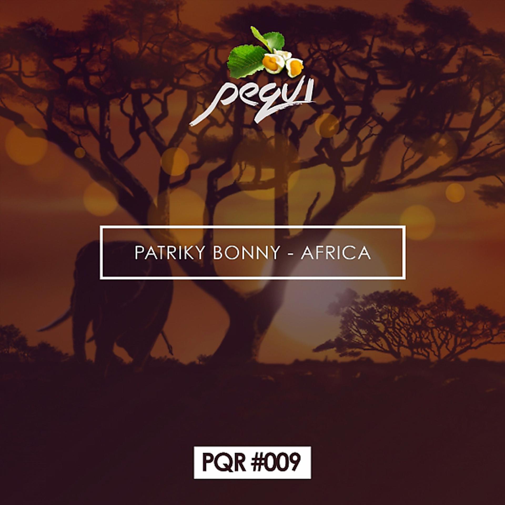 Постер альбома Patriky Bonny - Africa ( Original Mix )