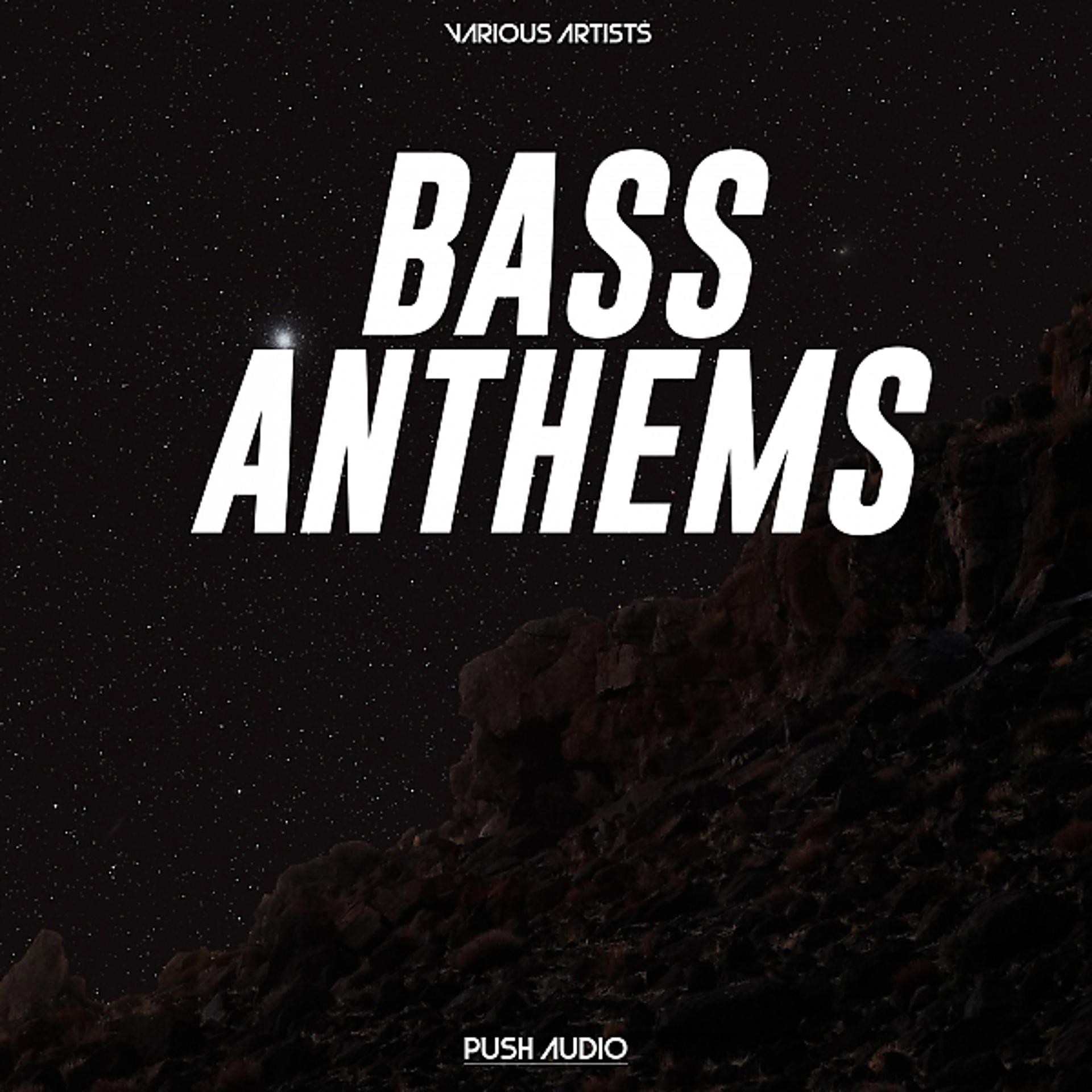 Постер альбома Bass Anthems