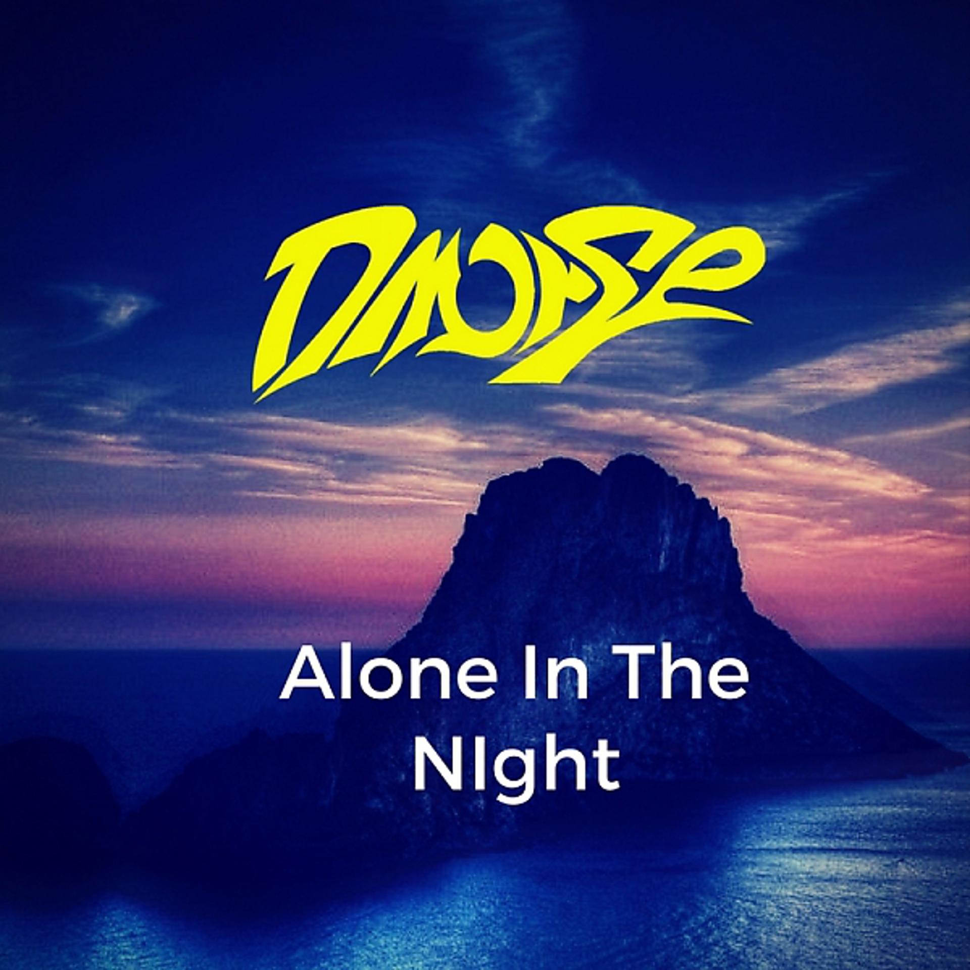 Постер альбома Alone In The Night