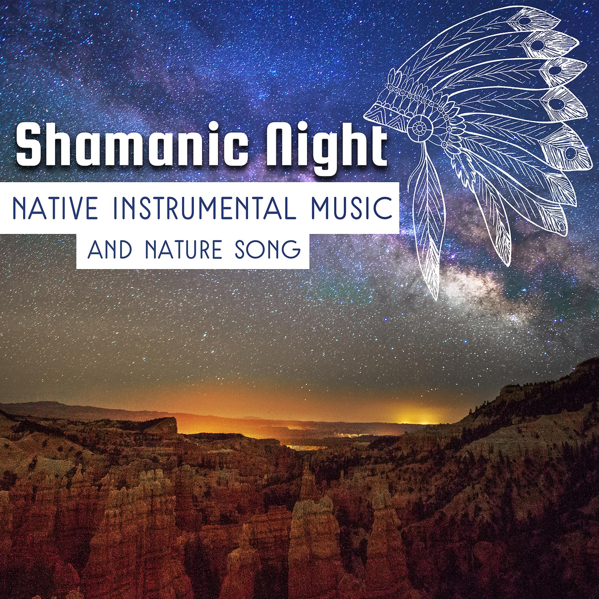 Постер альбома Shamanic Night: Native Instrumental Music and Nature Song for Sacral Meditation, Mystic Voyage, Spiritual Journey, Classic Indian Flute for Calm Mind Body Soul