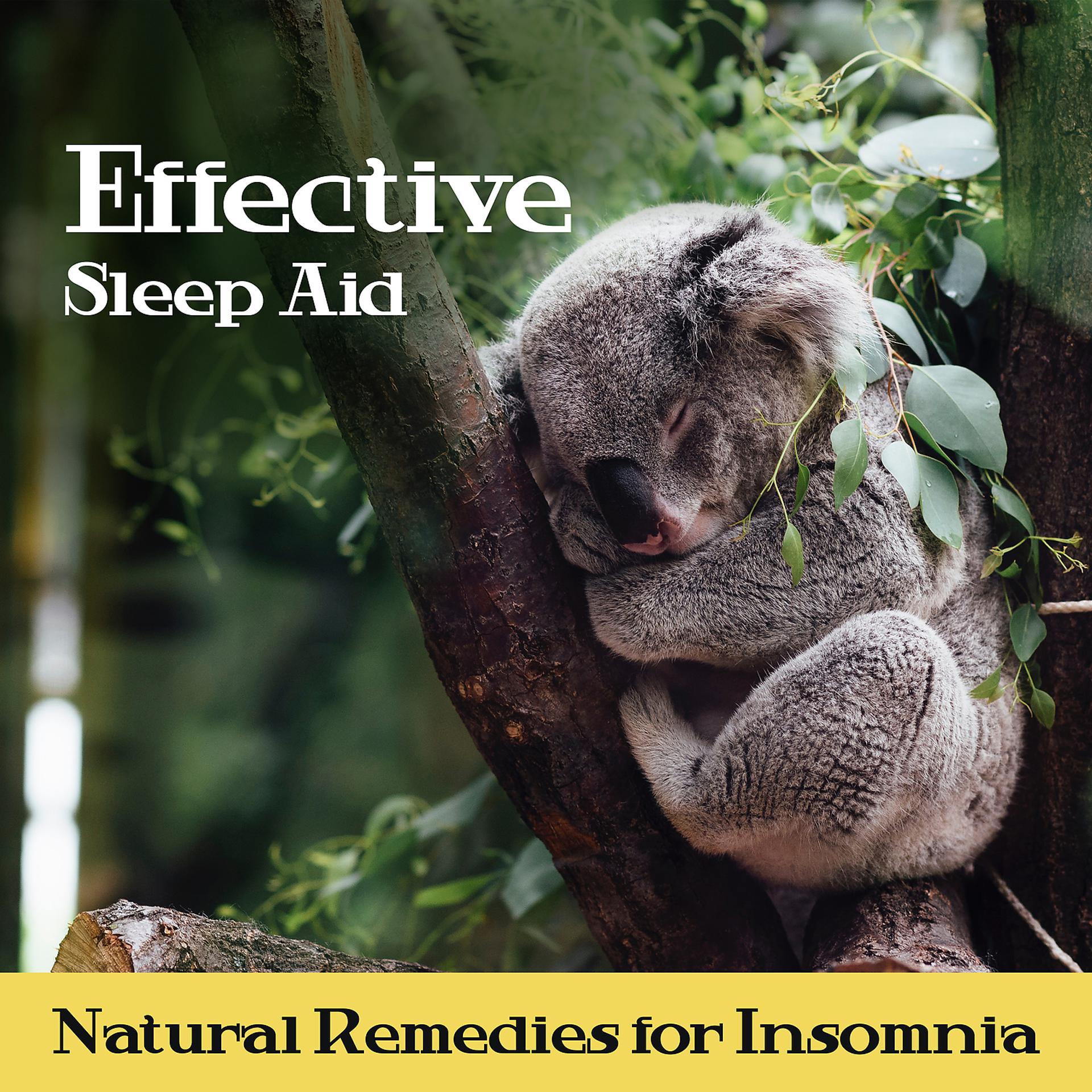 Постер альбома Effective Sleep Aid: Natural Remedies for Insomnia, Healing Sounds for Trouble Sleeping, Music for Deep Sleep and Regeneration During the Sleep