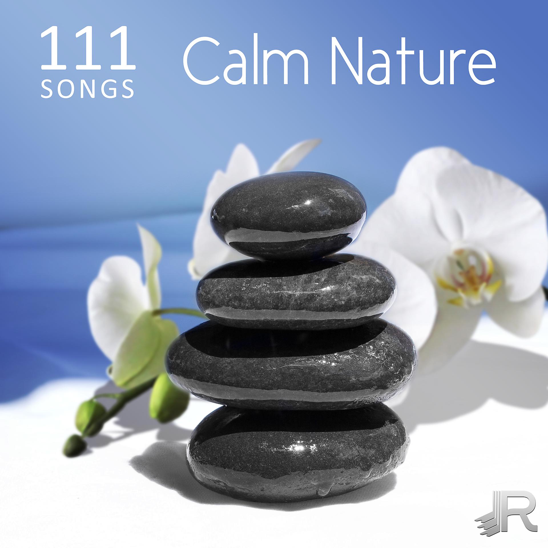 Постер альбома 111 Songs Calm Nature, Relaxing Ocean Waves - Deep Zen Meditation Music with Vibrational Healing, Ambient Sleep Music, Massage, Yoga and Spa