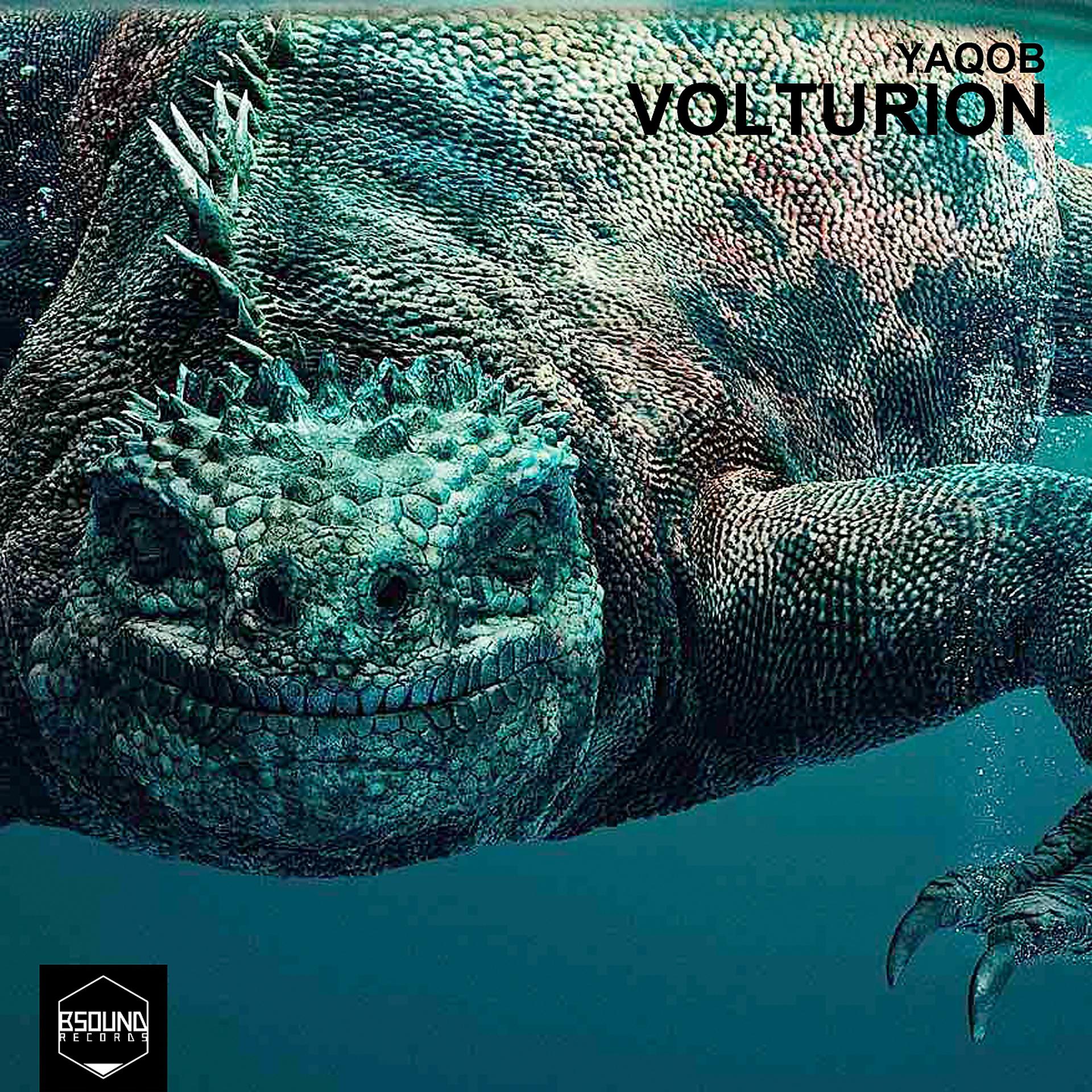 Постер альбома Volturion